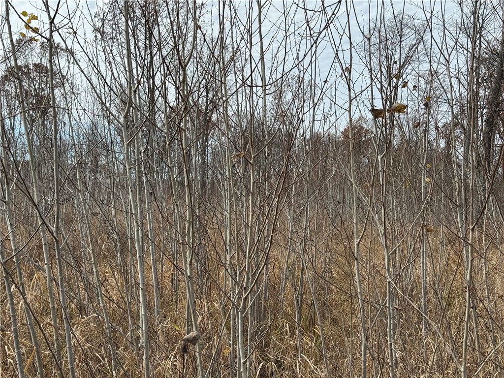 OOO County Rd. W Granton WI 54436 1596882 image6