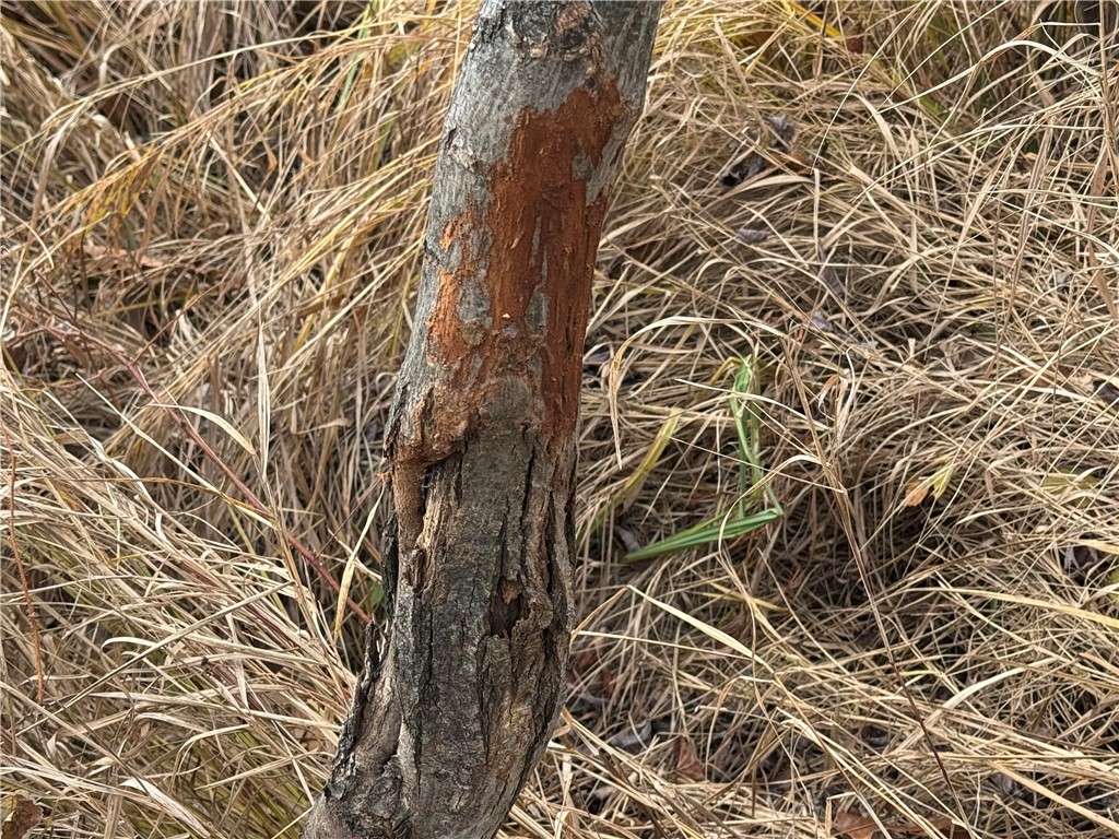 OOO County Rd. W Granton WI 54436 1596882 image7