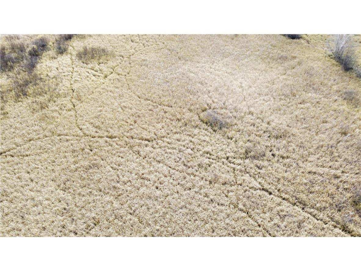 OOO County Rd. W Granton WI 54436 1596882 image8