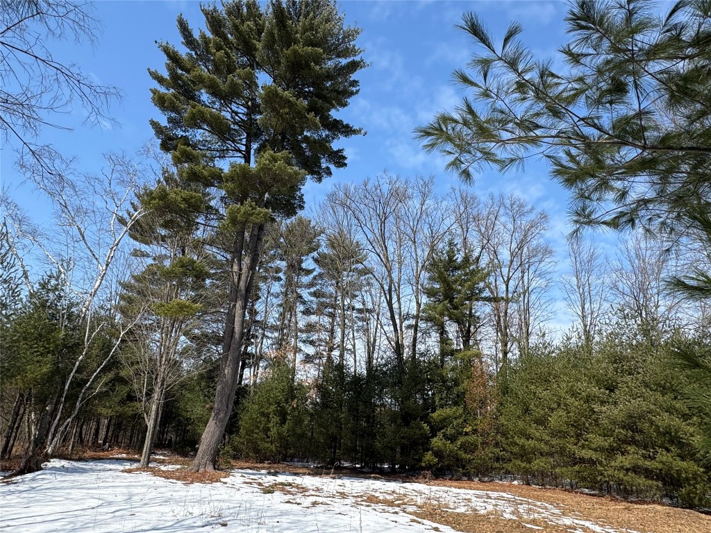 OOO Lake Rd Clintonville WI 54929 1599470 image1
