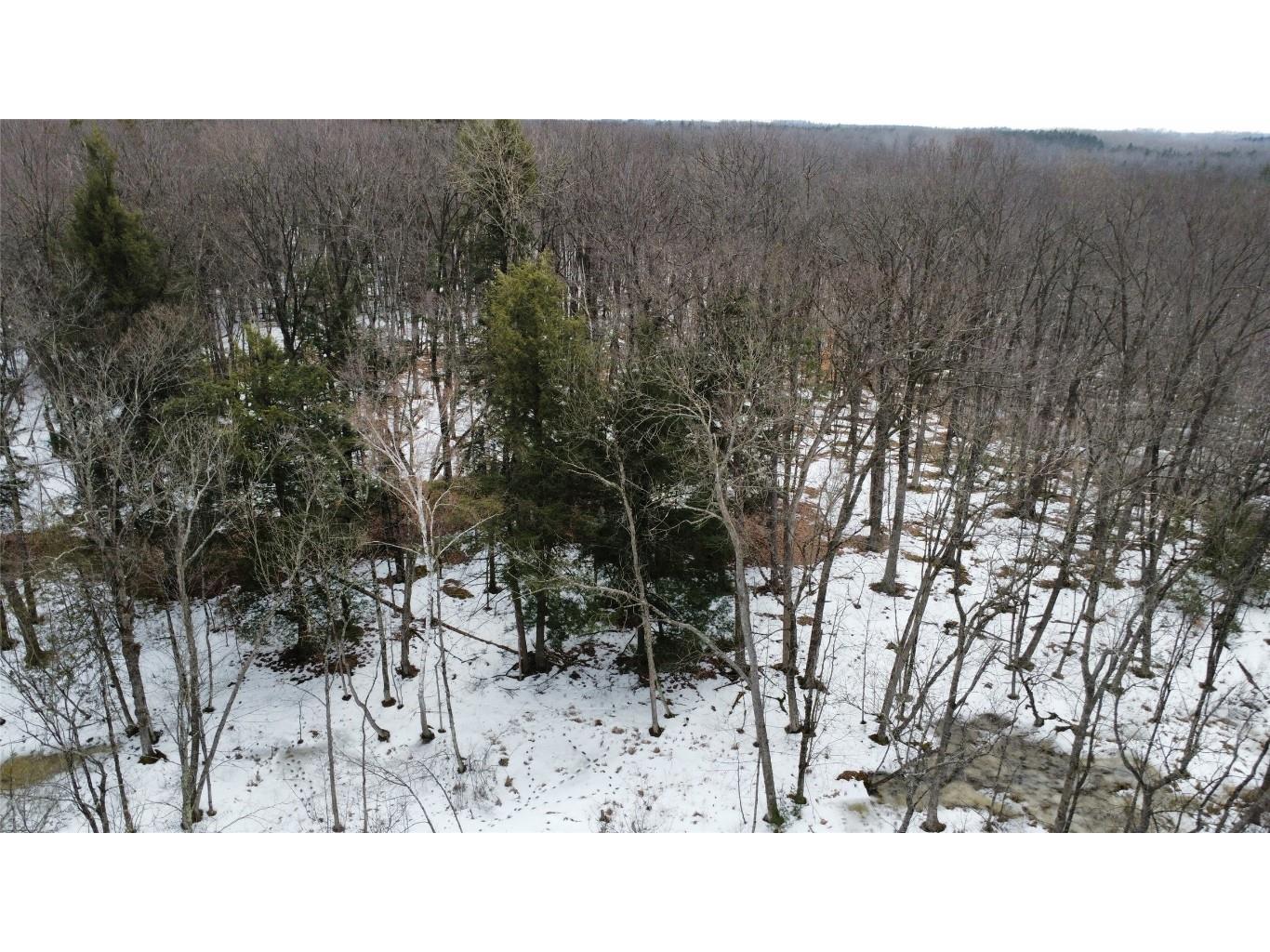 OOO Lake Rd Clintonville WI 54929 1599470 image10