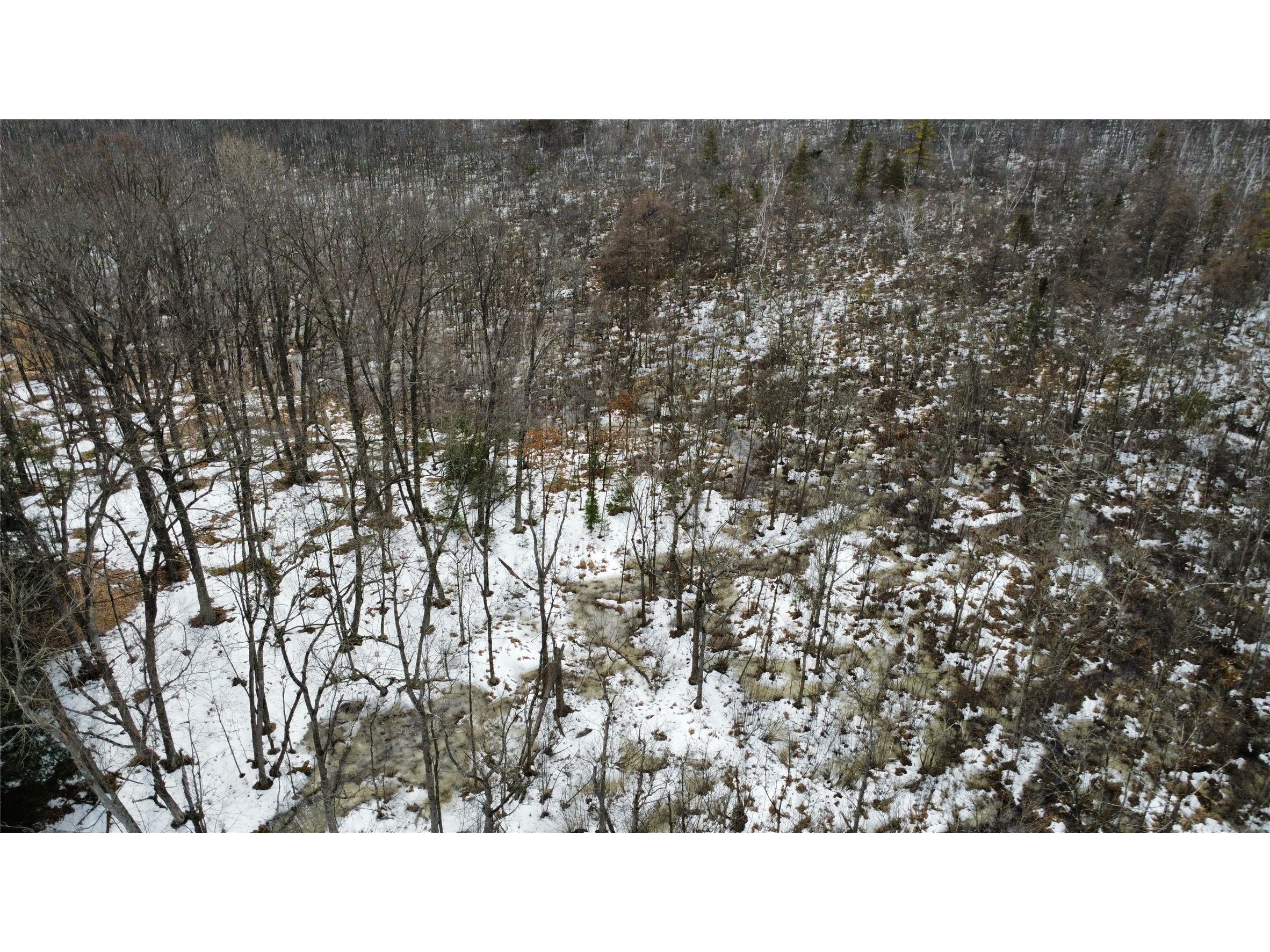 OOO Lake Rd Clintonville WI 54929 1599470 image11
