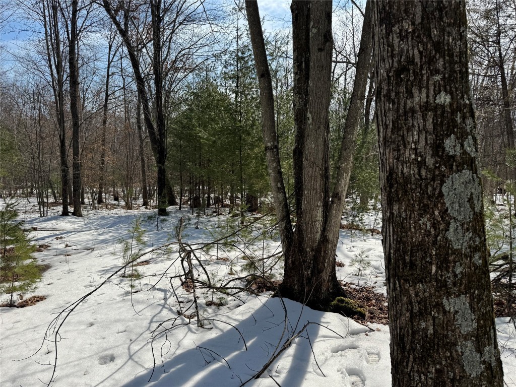 OOO Lake Rd Clintonville WI 54929 1599470 image14