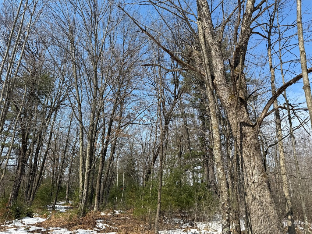 OOO Lake Rd Clintonville WI 54929 1599470 image17