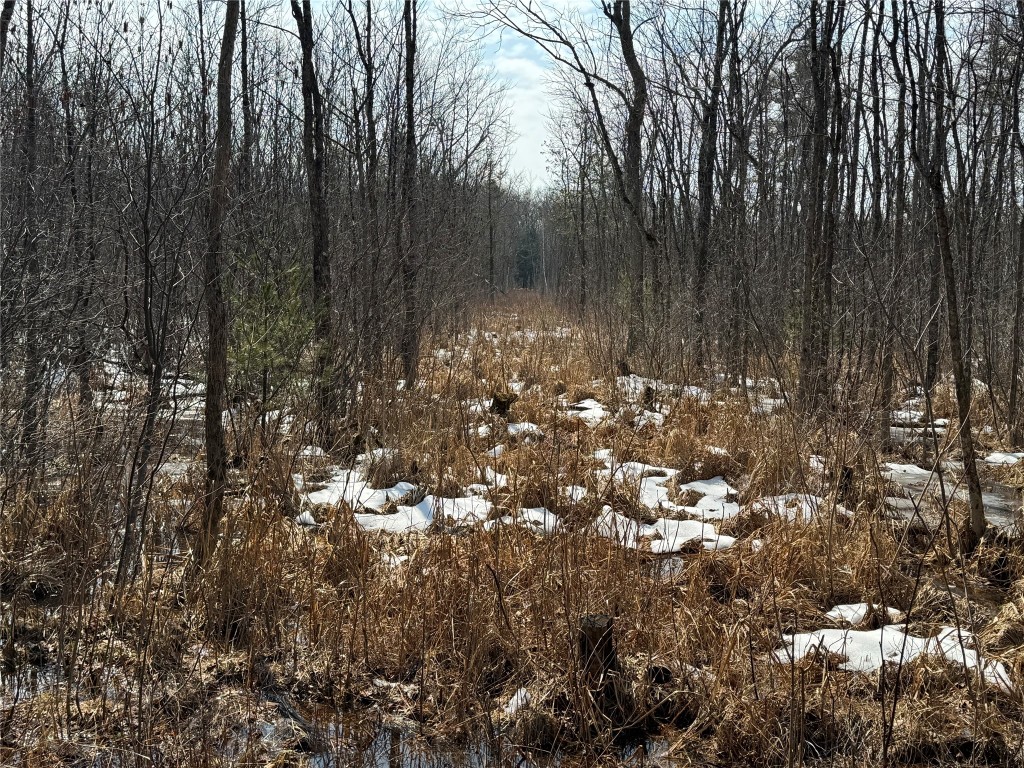 OOO Lake Rd Clintonville WI 54929 1599470 image22