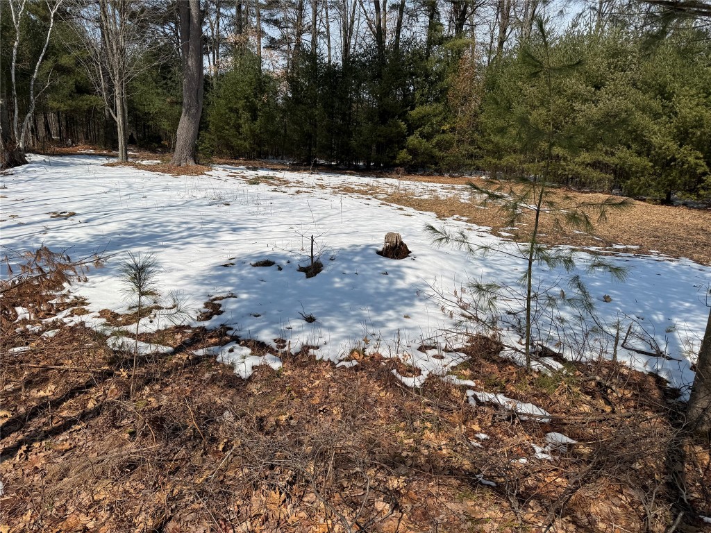 OOO Lake Rd Clintonville WI 54929 1599470 image24
