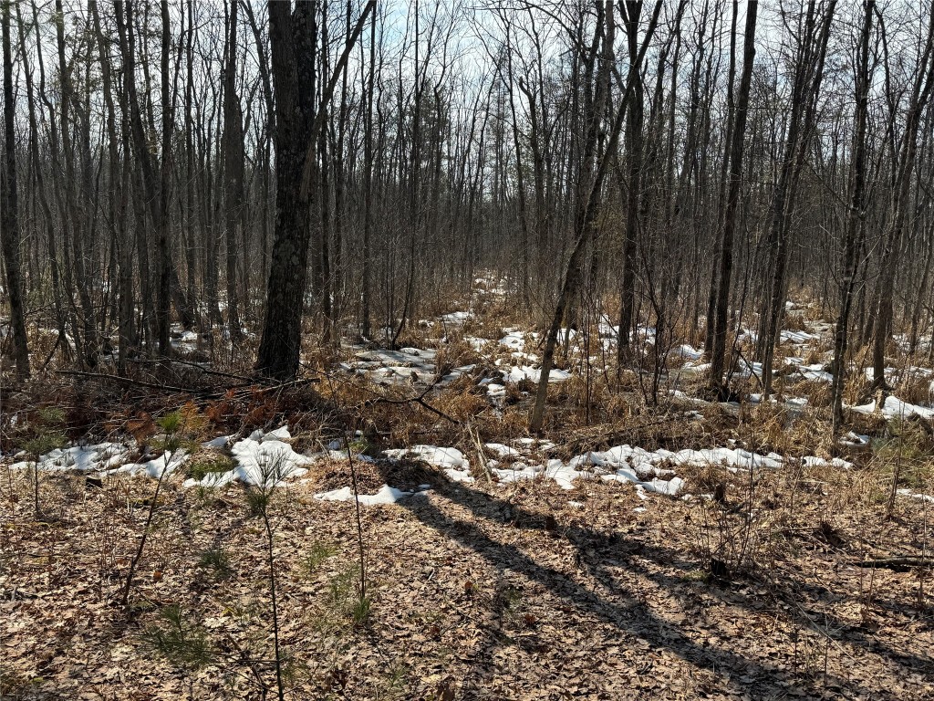 OOO Lake Rd Clintonville WI 54929 1599470 image30