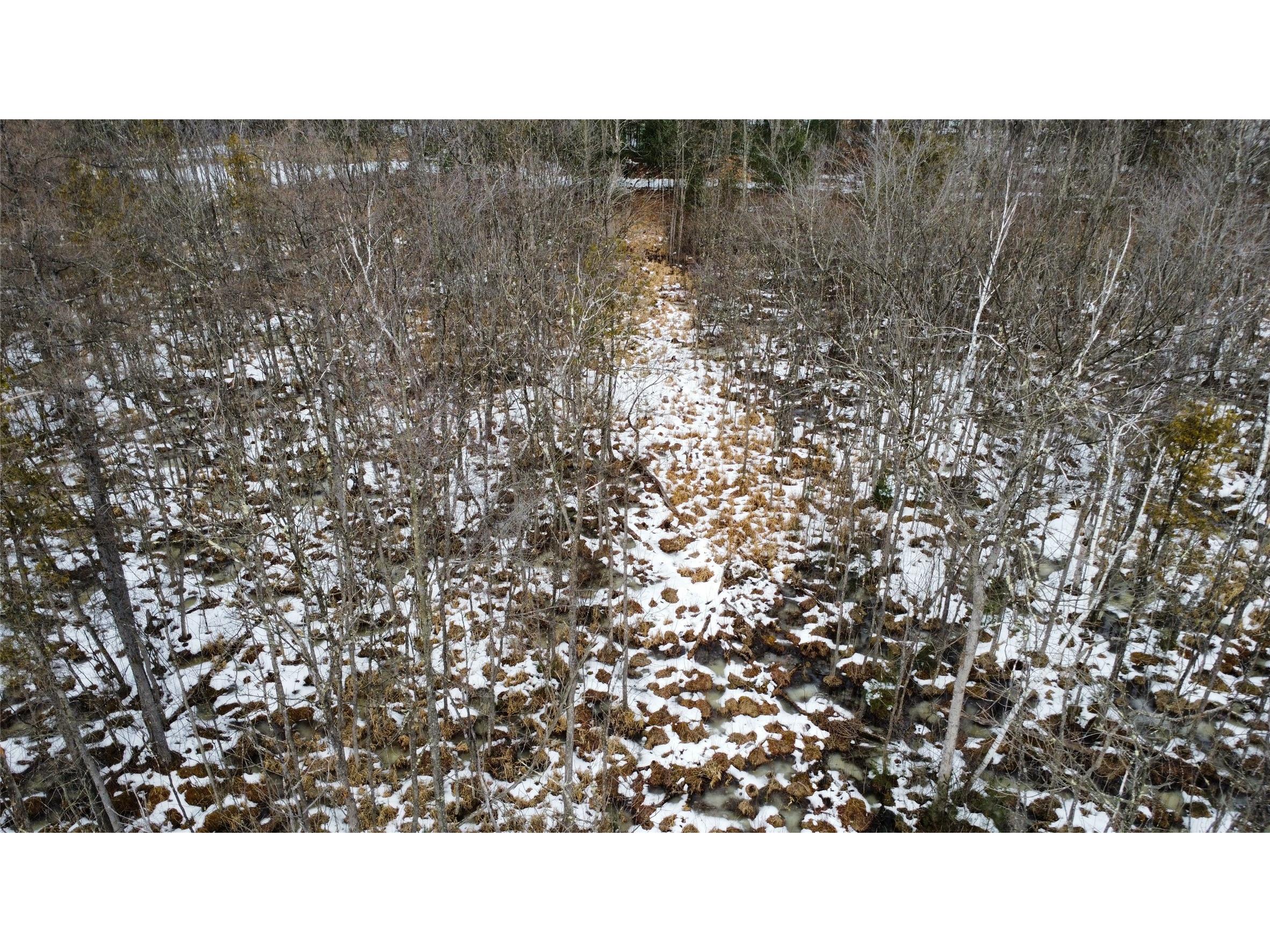 OOO Lake Rd Clintonville WI 54929 1599470 image6