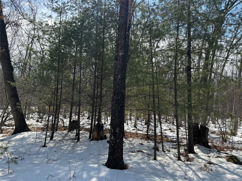 OOO Lake Rd Clintonville WI 54929 1599470 image7