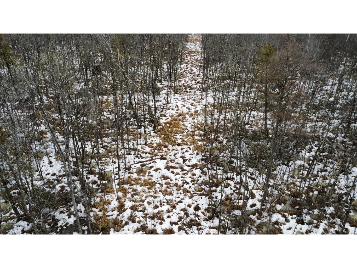 OOO Lake Rd Clintonville WI 54929 1599470 image8
