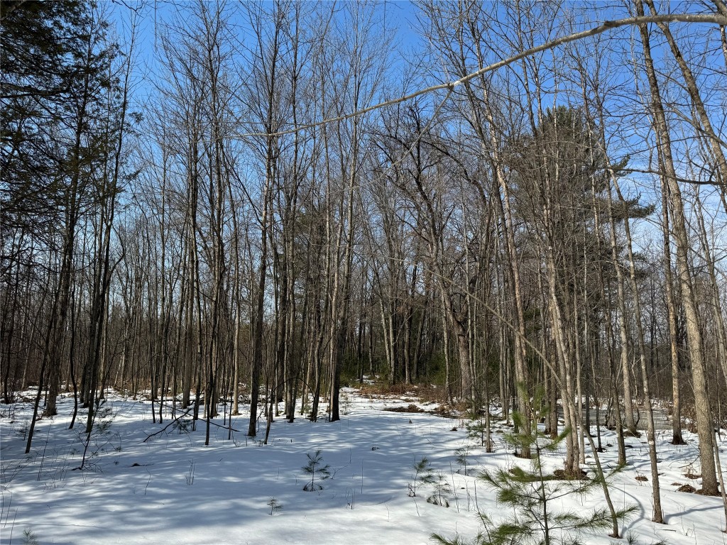 OOO Lake Rd Clintonville WI 54929 1599470 image9