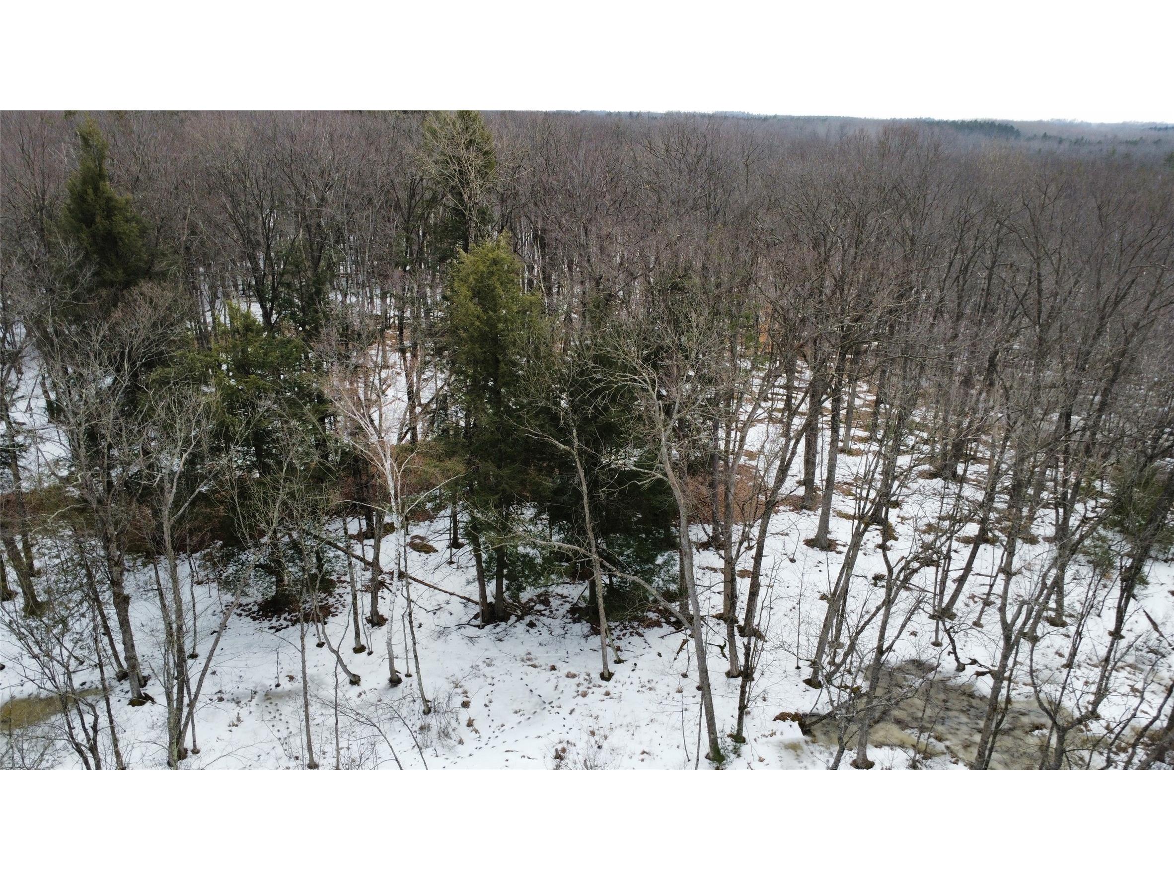 OOO Lake Road Clintonville WI 54929 1599470 image10