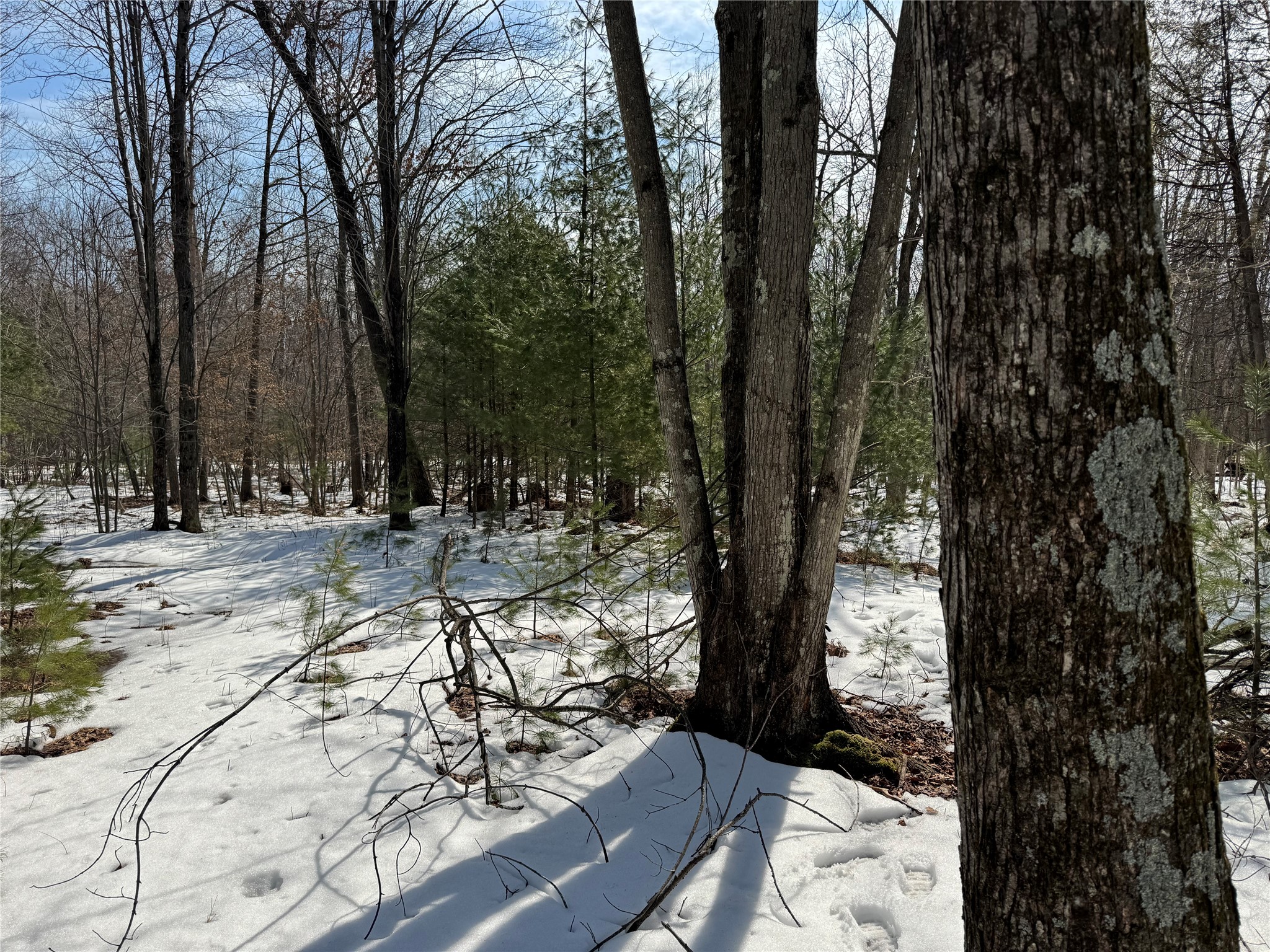 OOO Lake Road Clintonville WI 54929 1599470 image14