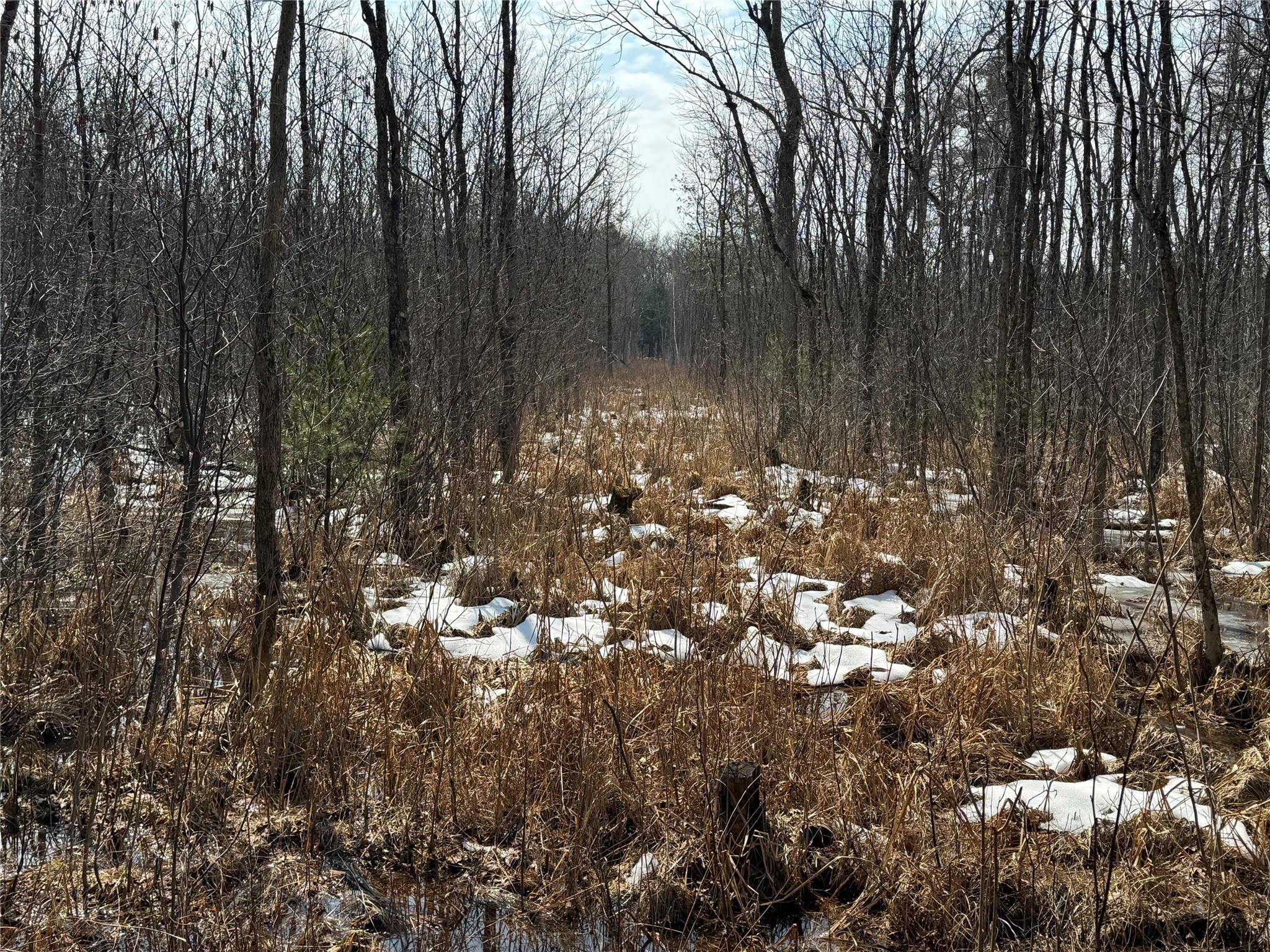 OOO Lake Road Clintonville WI 54929 1599470 image22
