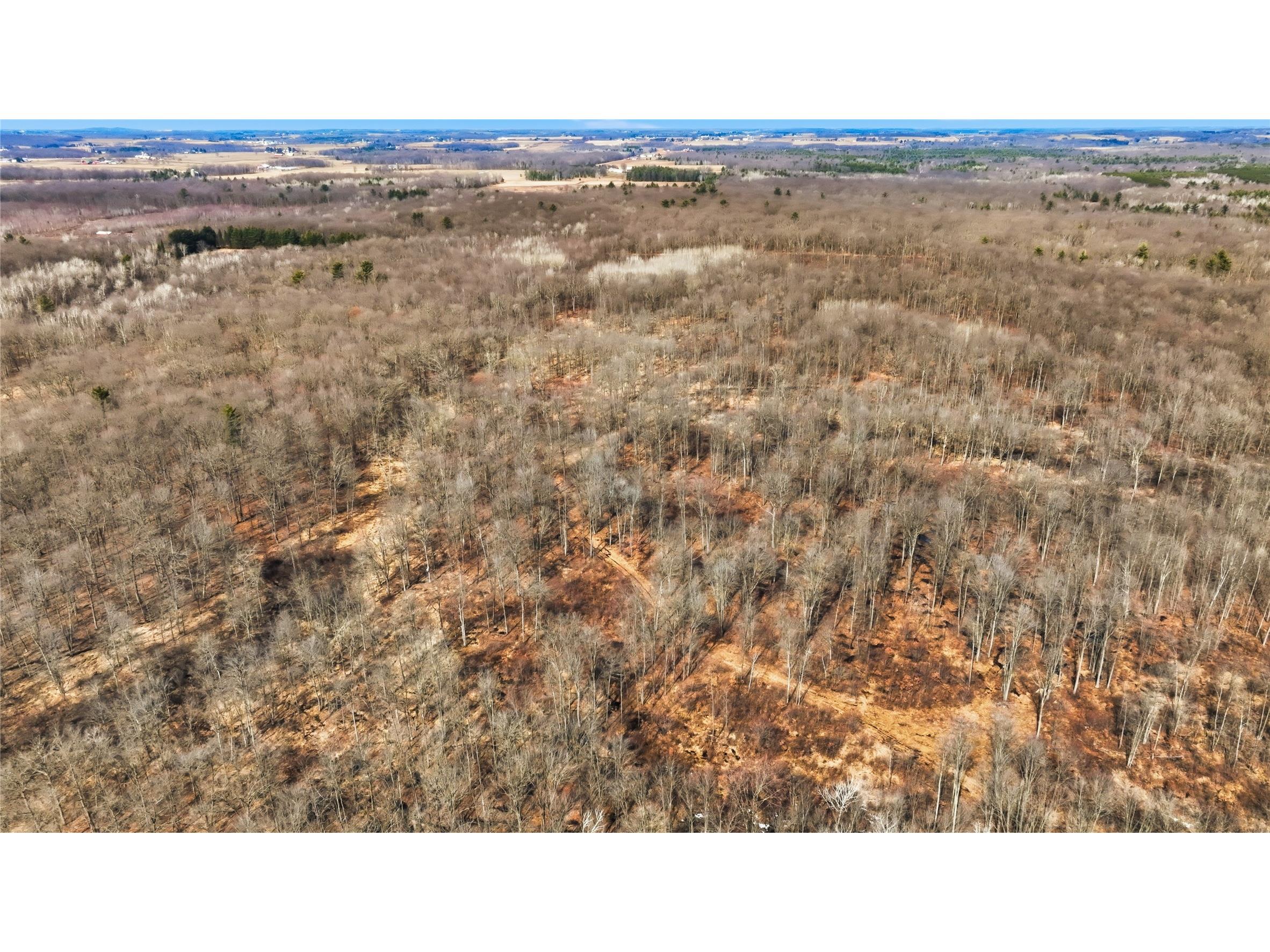 OOO Maple Granton WI 54436 1599056 image15