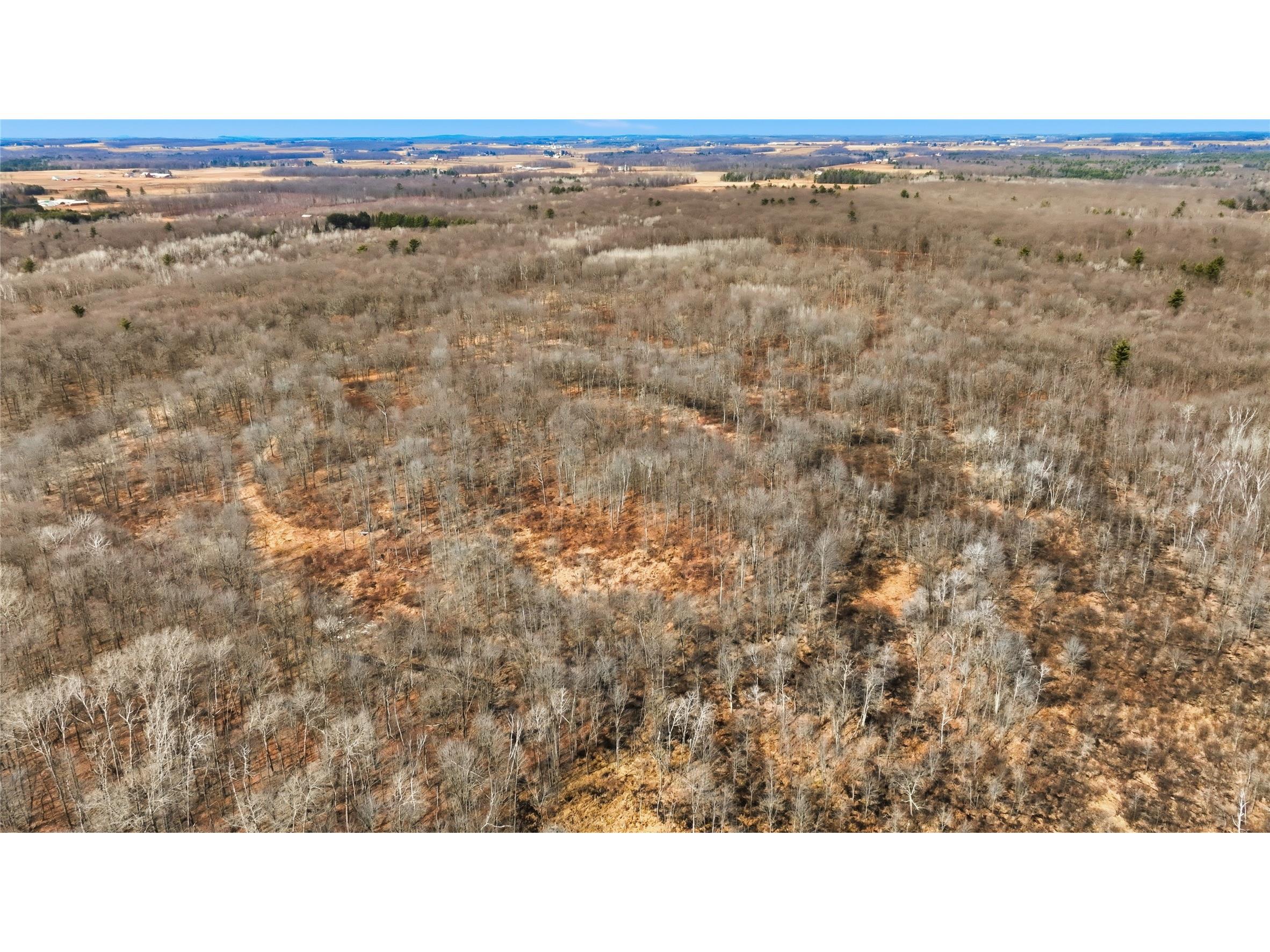 OOO Maple Granton WI 54436 1599056 image17