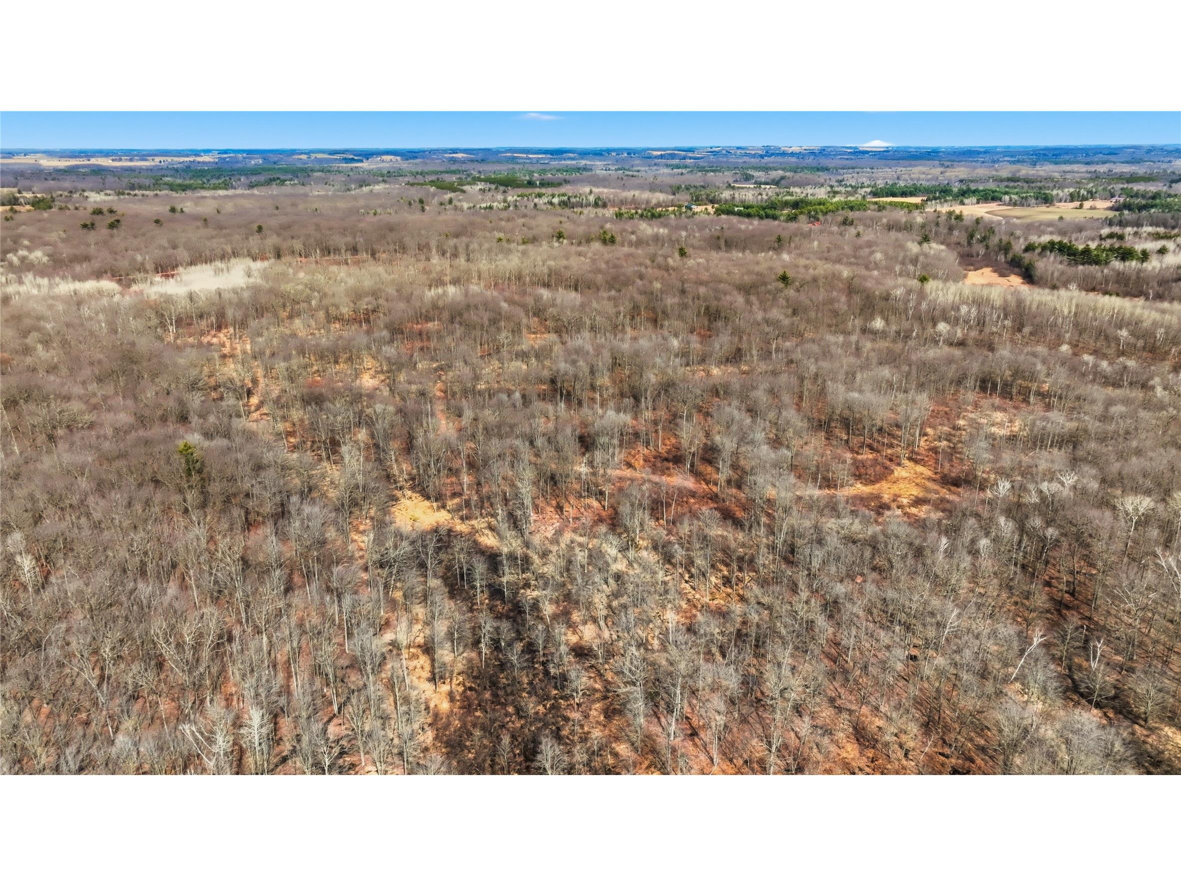 OOO Maple Granton WI 54436 1599056 image20