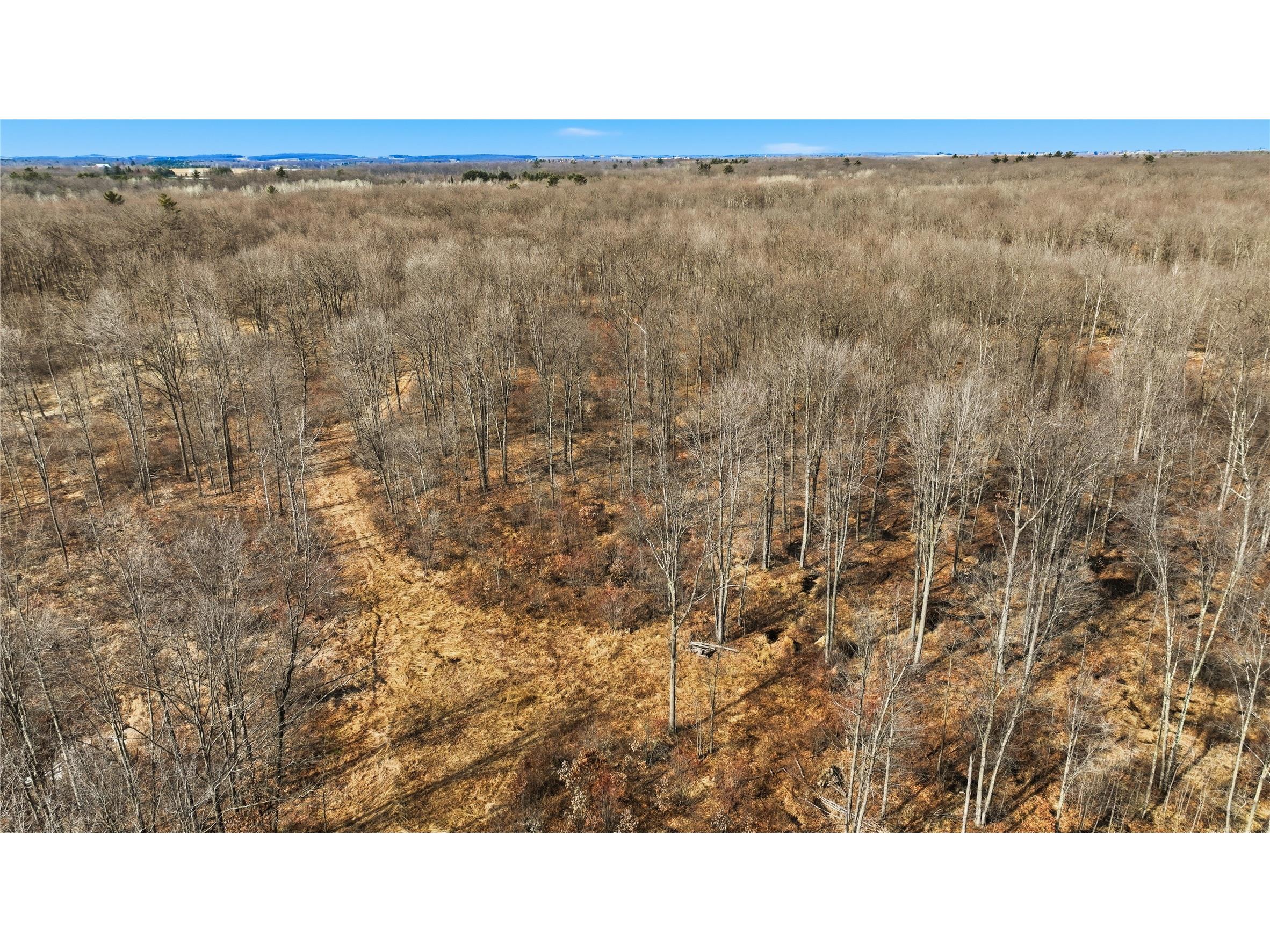 OOO Maple Granton WI 54436 1599056 image22