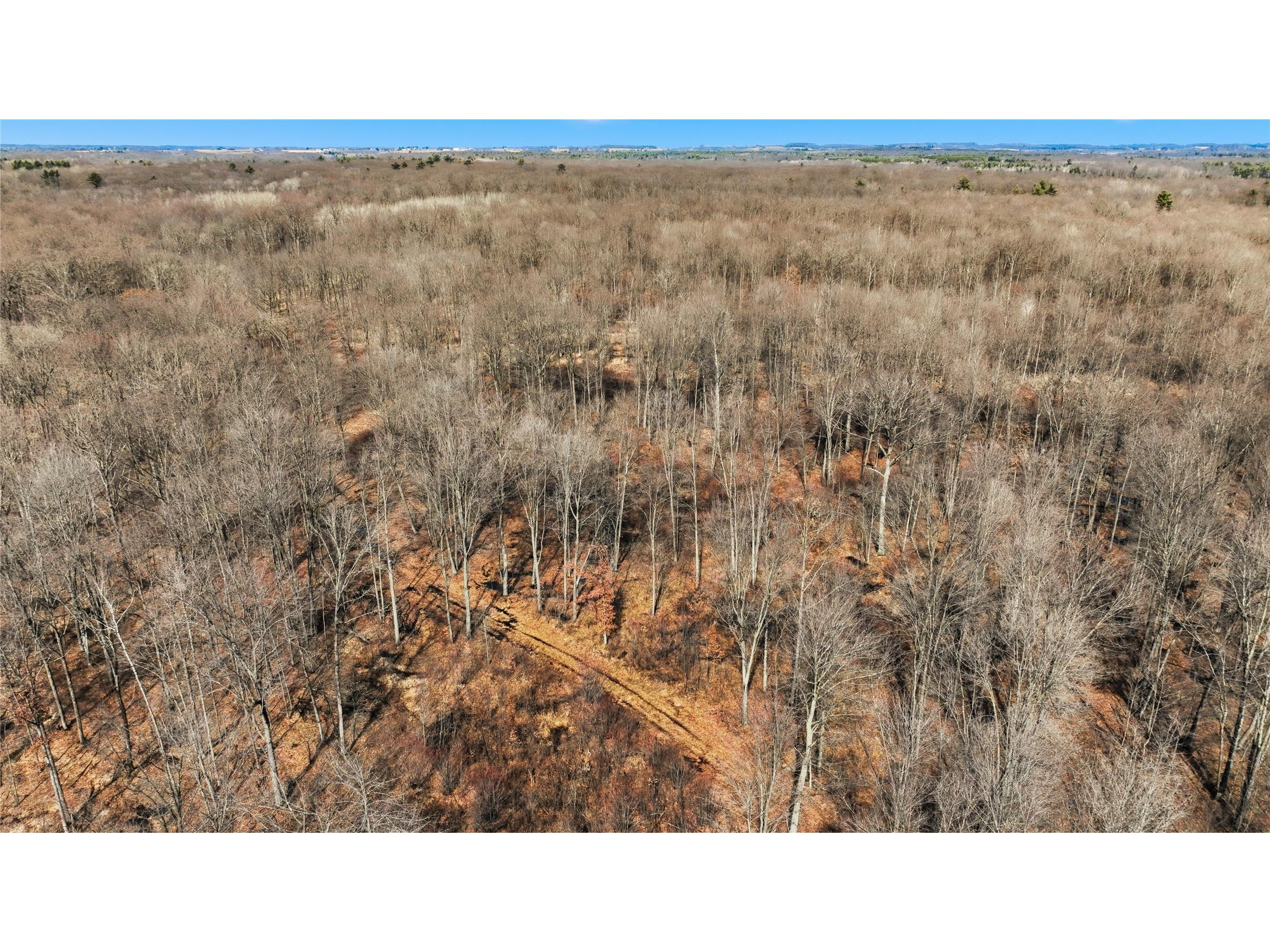 OOO Maple Granton WI 54436 1599056 image24