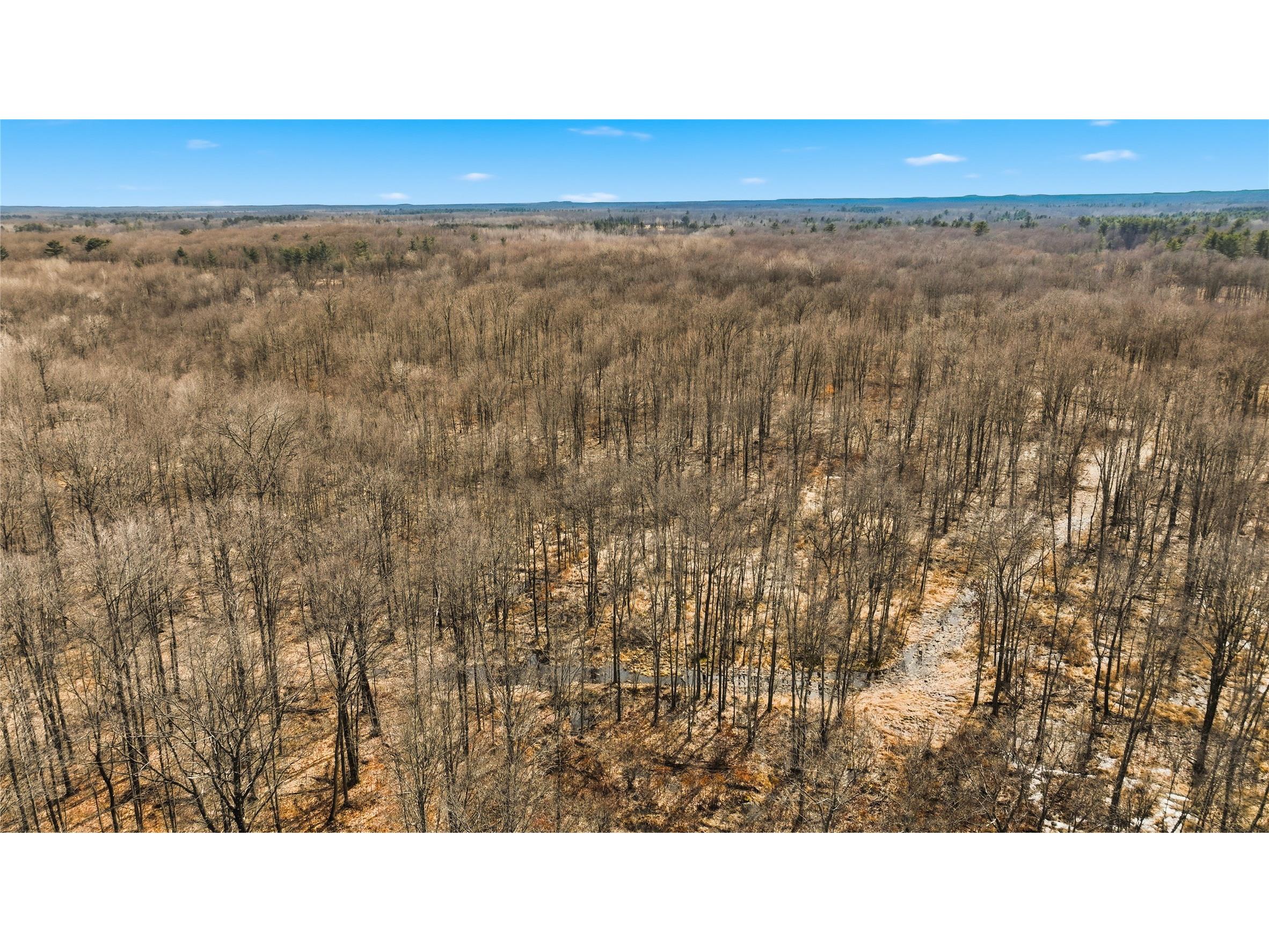 OOO Maple Granton WI 54436 1599056 image29