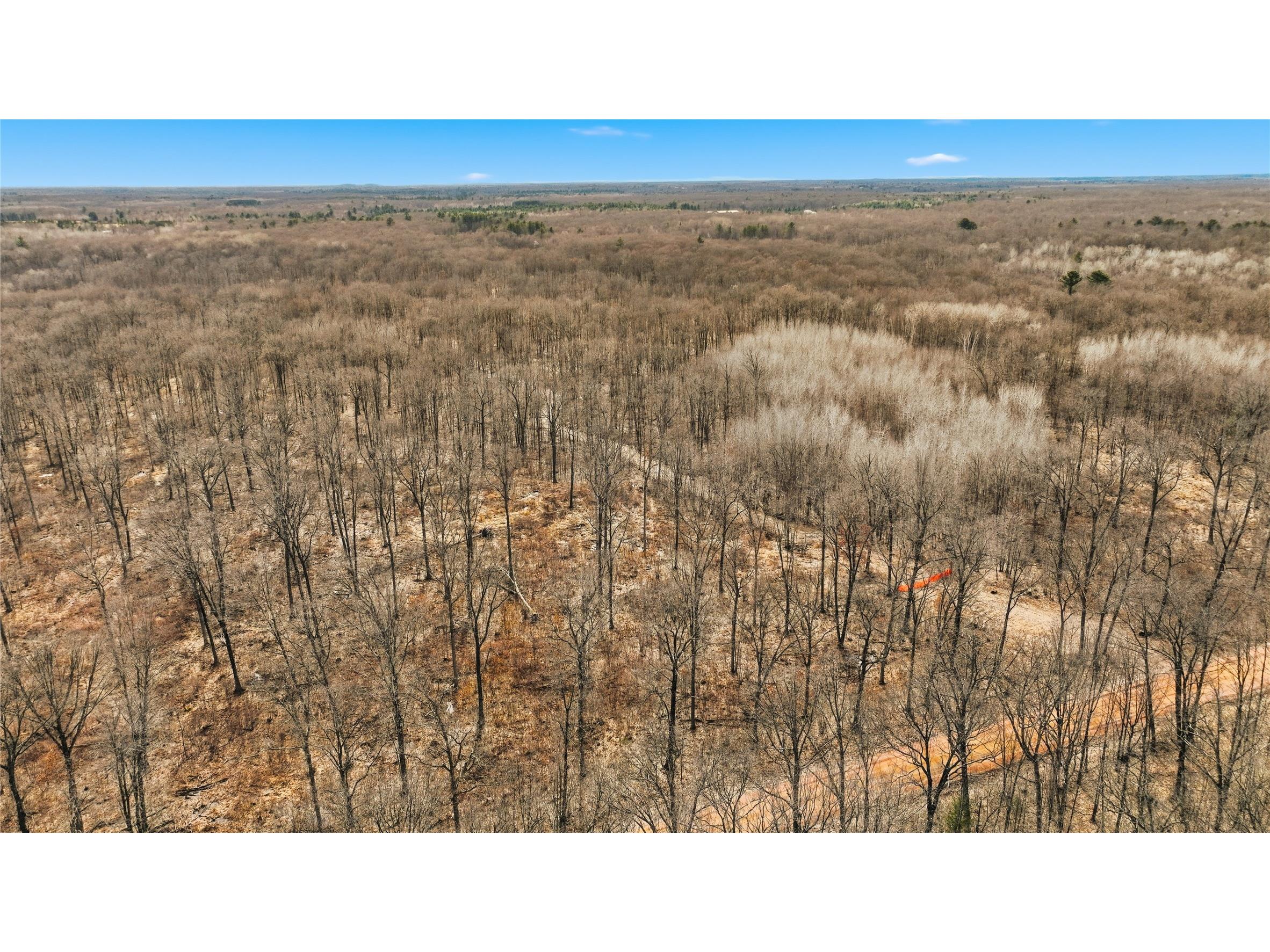 OOO Maple Granton WI 54436 1599056 image31