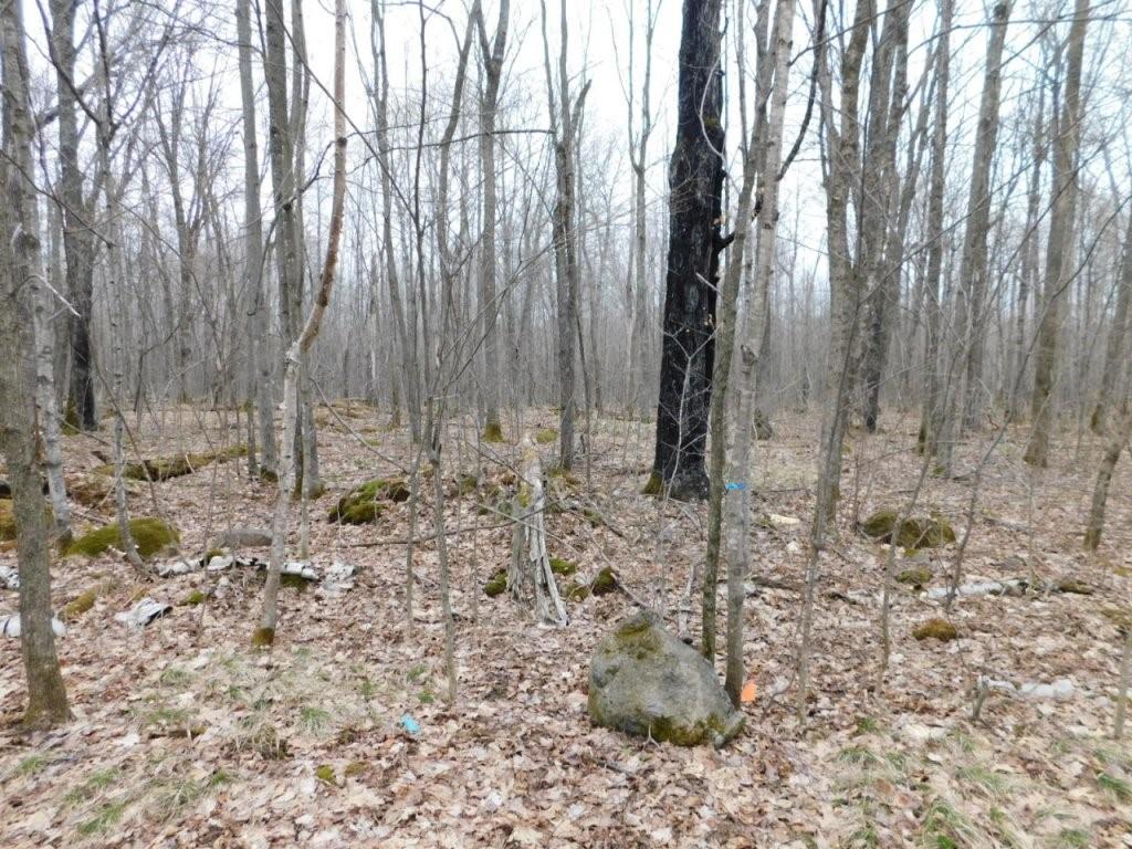 Off Grandbouche Road Winter WI 54896 1572950 image1