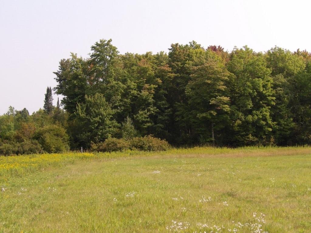 Off Gruhner Road Catawba WI 54515 1576687 image1