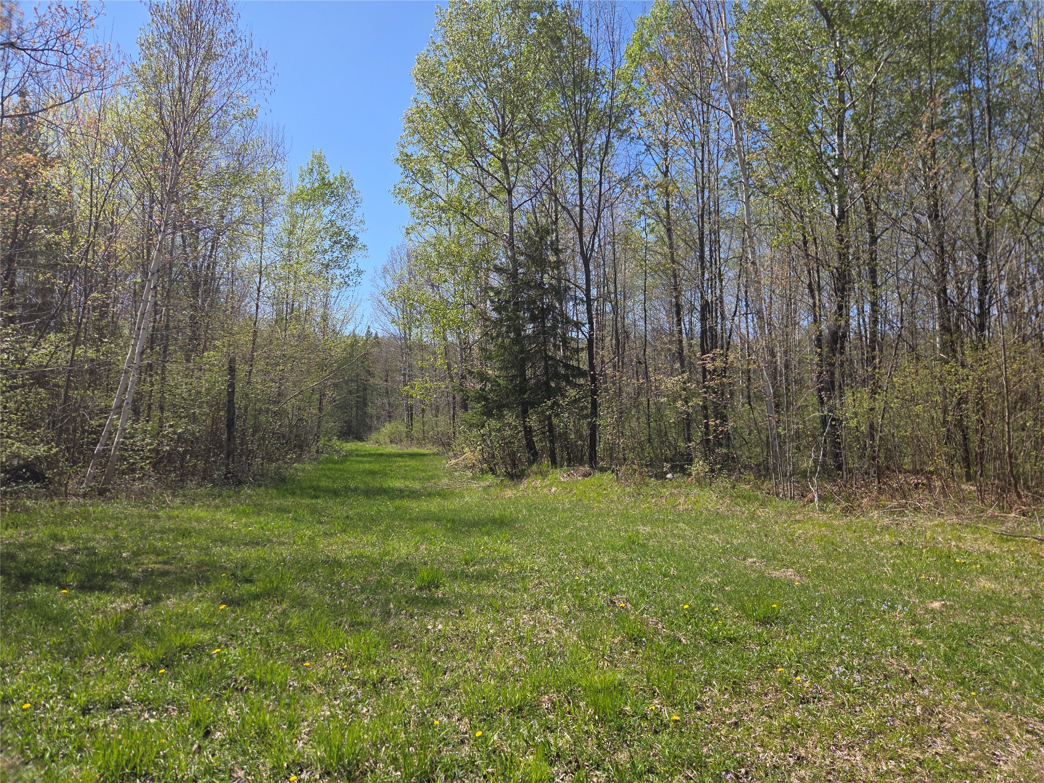 Off Hay Creek Road Prentice WI 54556 - Hay Creek 1601325 image19