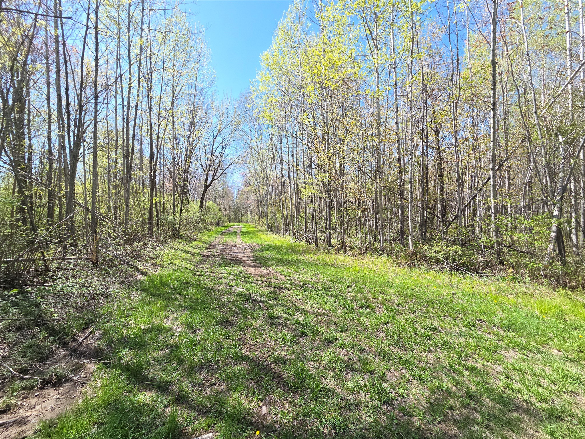 Off Hay Creek Road Prentice WI 54556 - Hay Creek 1601325 image20