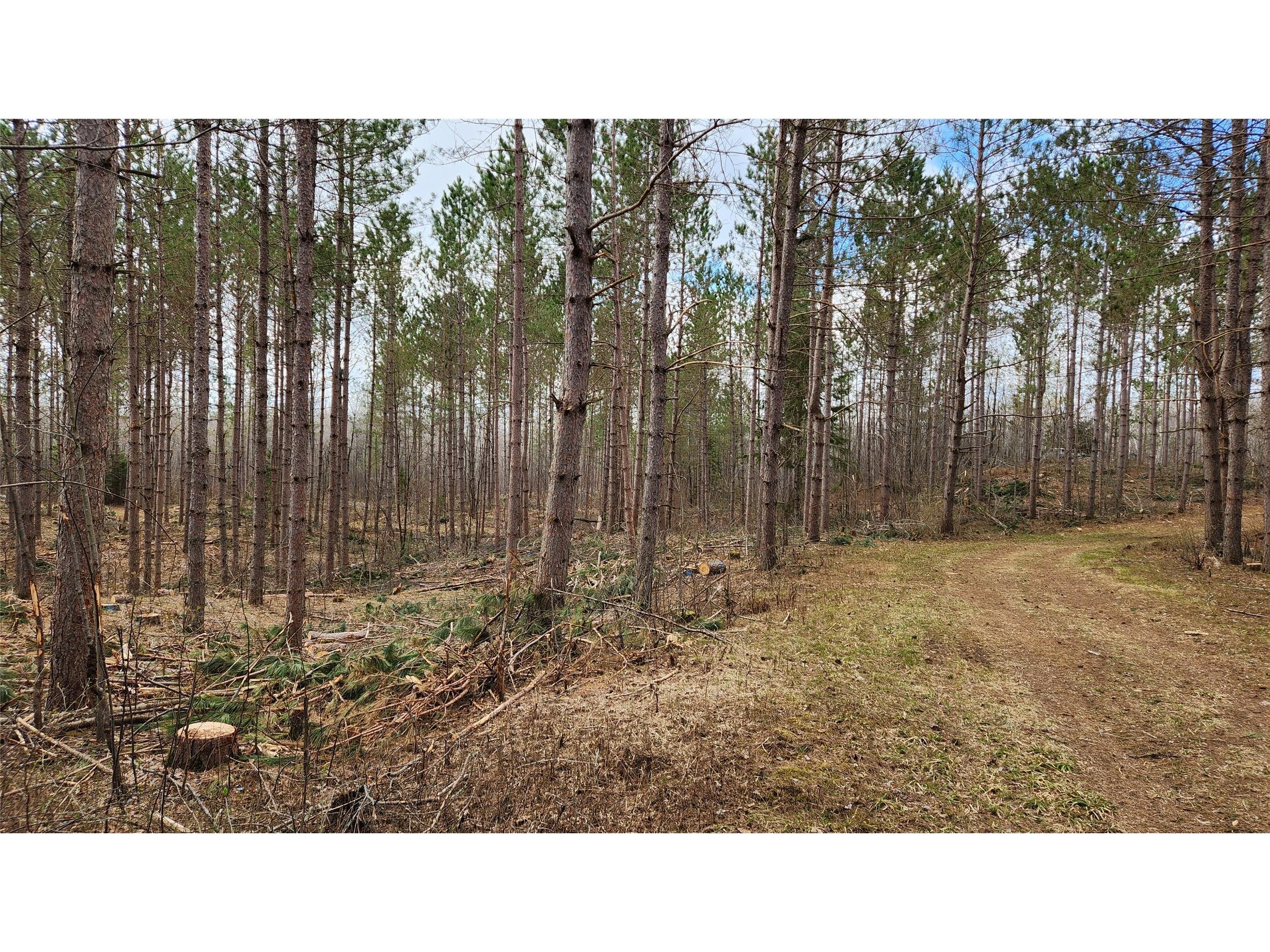 Off Hay Creek Road Prentice WI 54556 - Hay Creek 1601325 image31