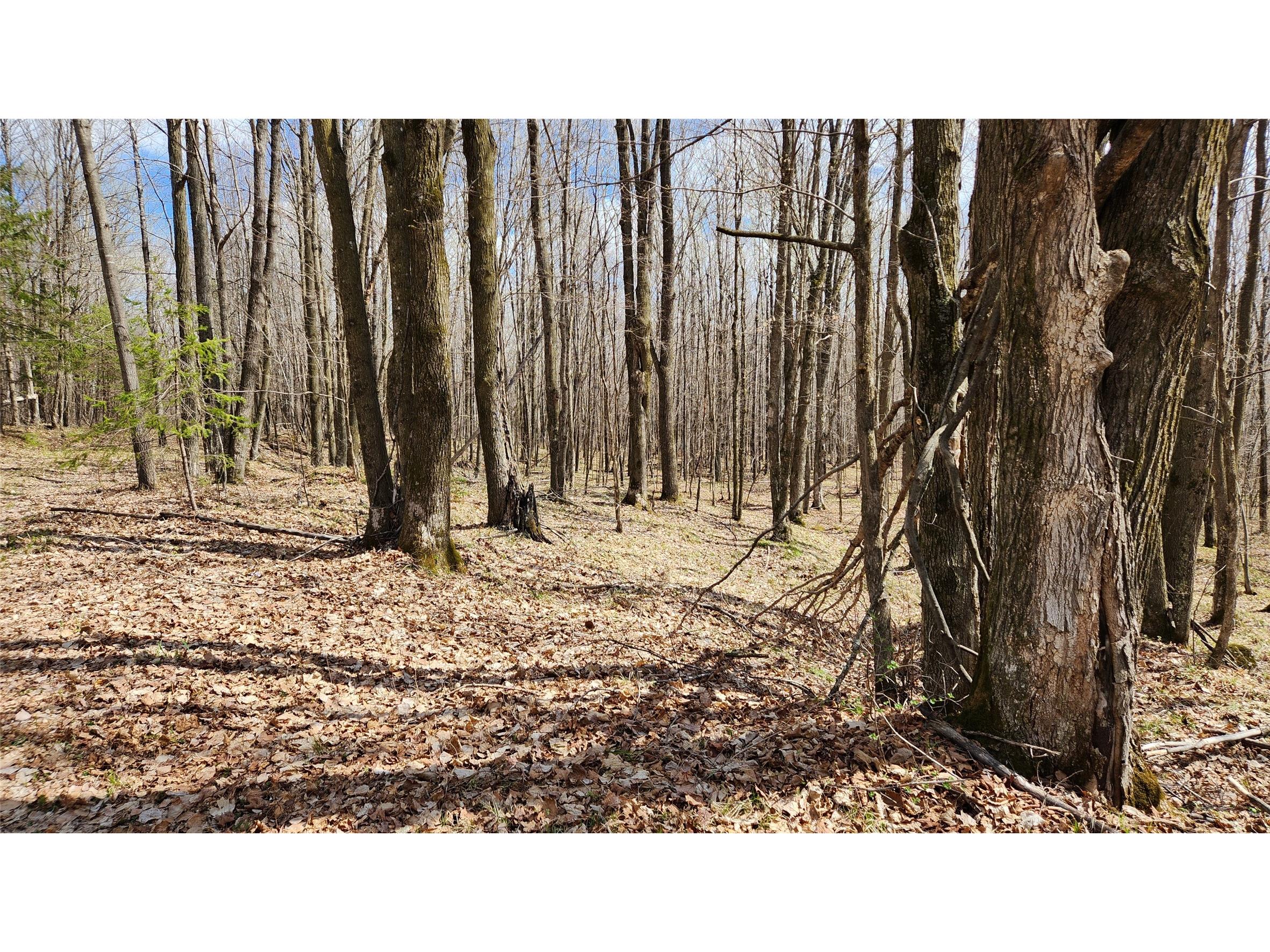 Off Hay Creek Road Prentice WI 54556 - Hay Creek 1601325 image33