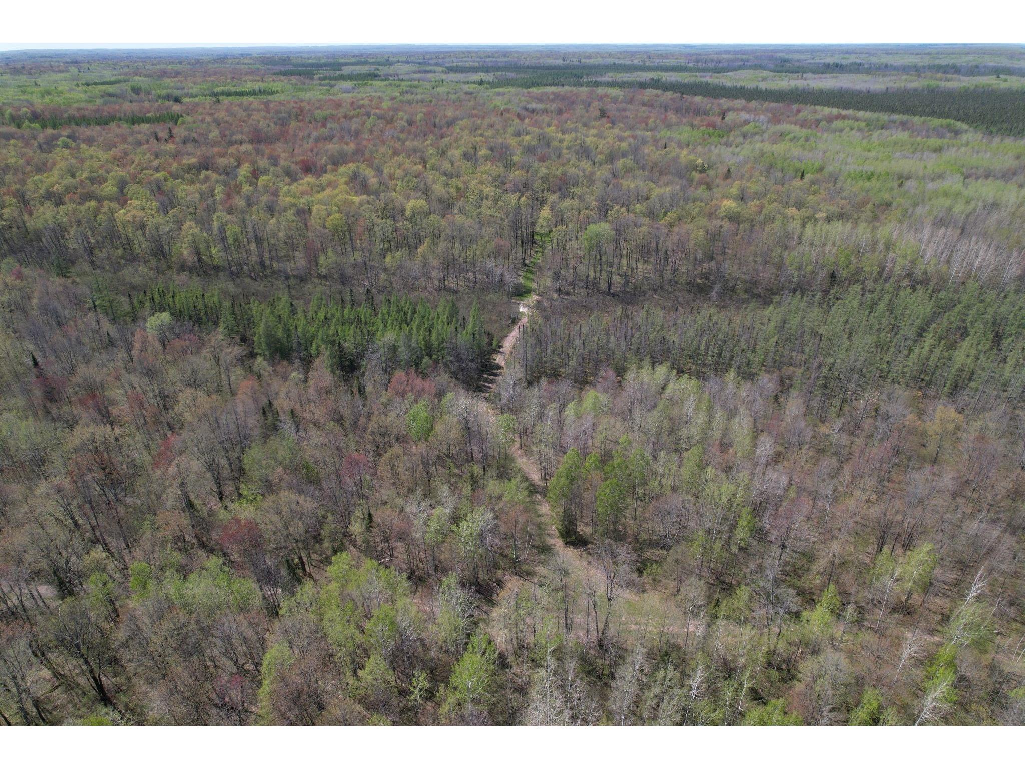 Off Hay Creek Road Prentice WI 54556 - Hay Creek 1601325 image6