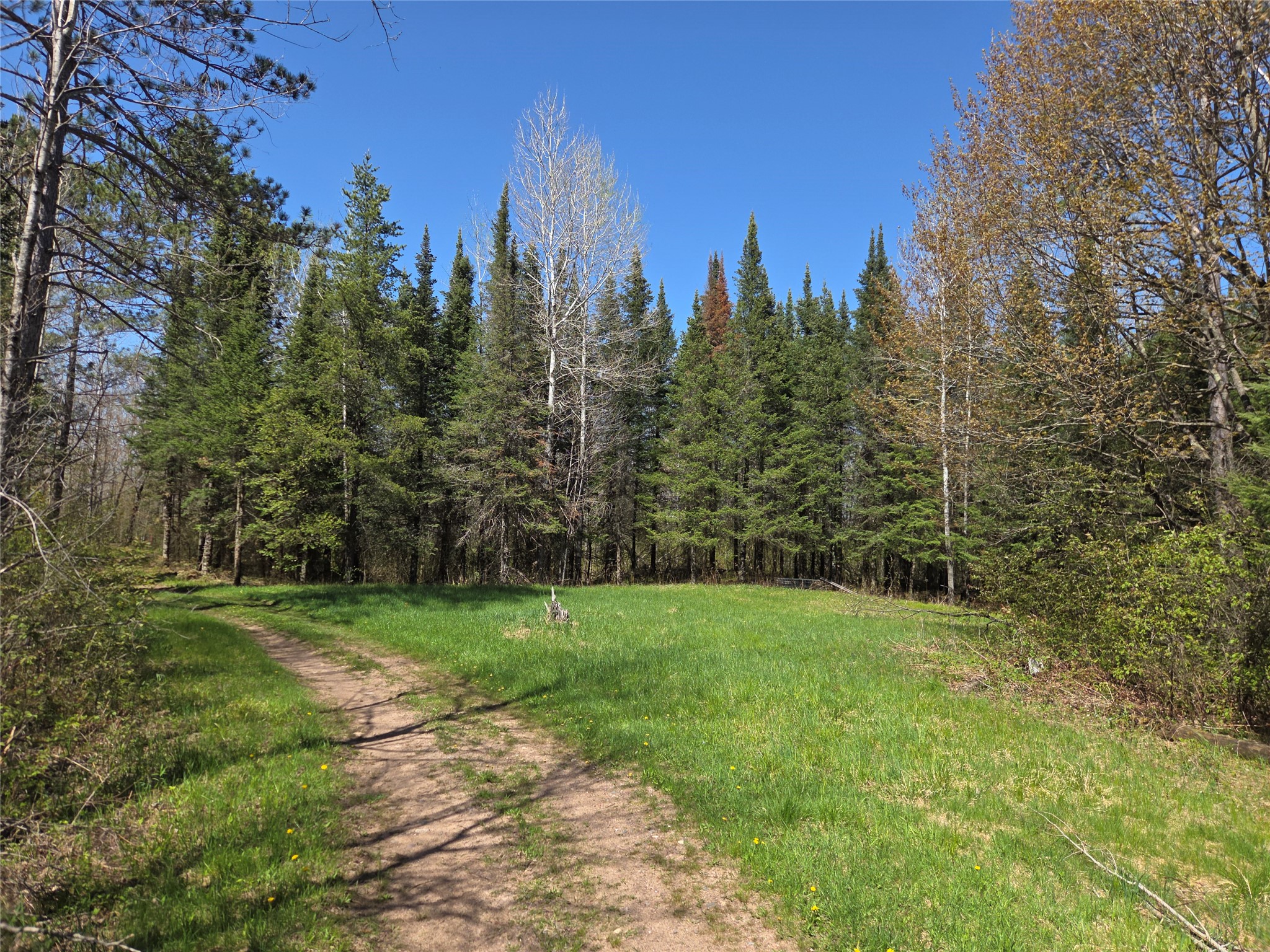 Off Hay Creek Road Prentice WI 54556 - Hay Creek 1601325 image8