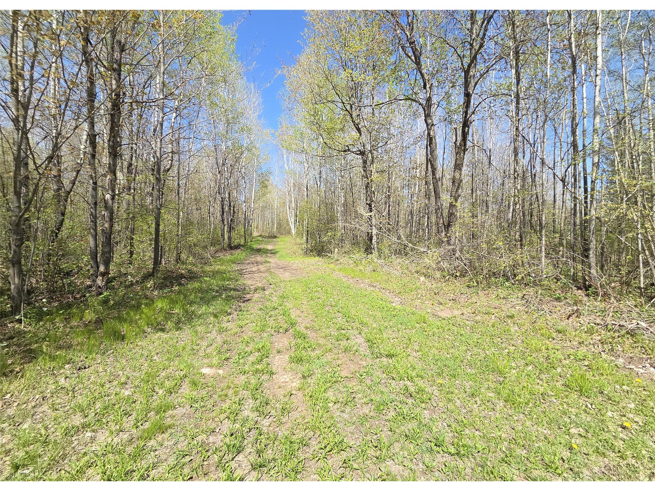 Off Hay Creek Road Prentice WI 54556 - Hay Creek 1601325 image9