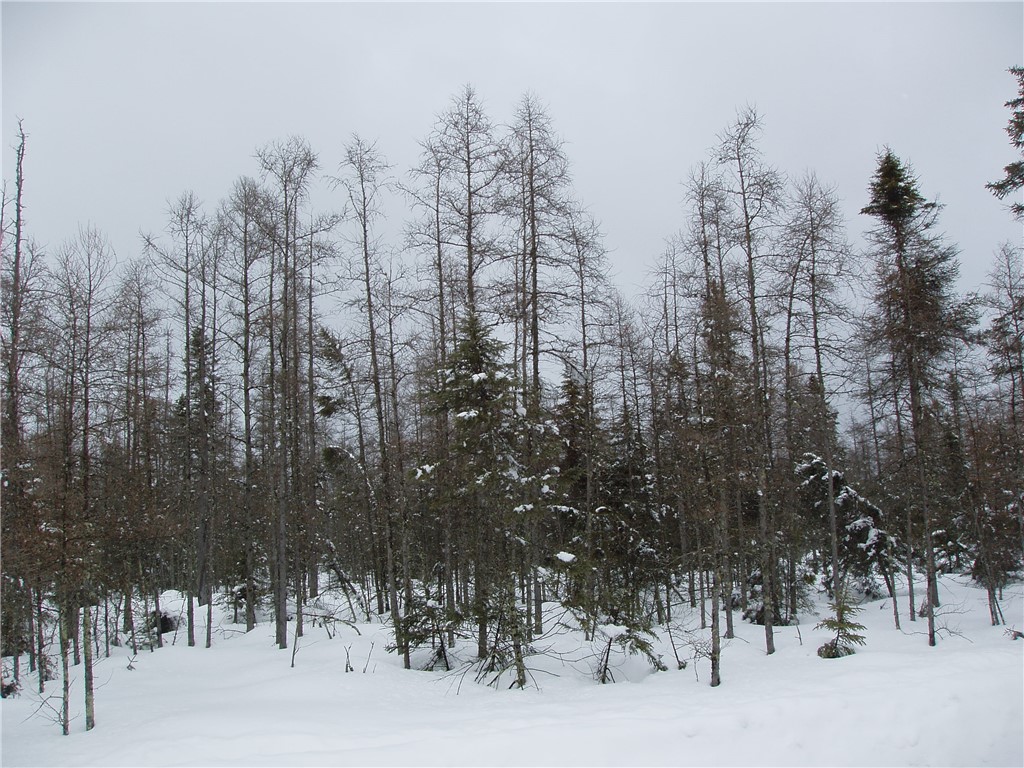 Off Hwy 182 Park Falls WI 54552 1571462 image1