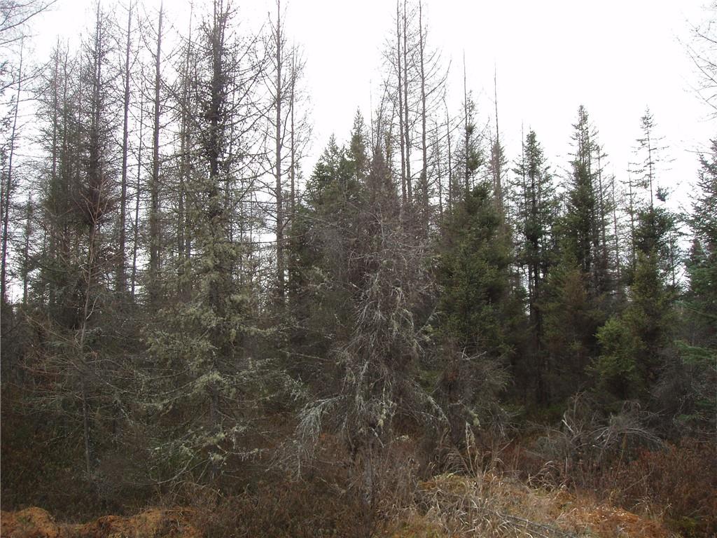 Off Lenz Glidden WI 54527 1569926 image1