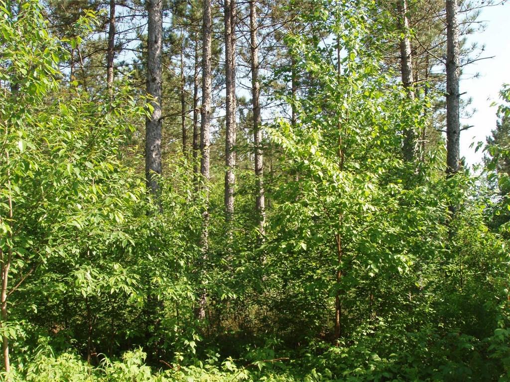 Off Sugar Bush Road Park Falls WI 54552 1569060 image1