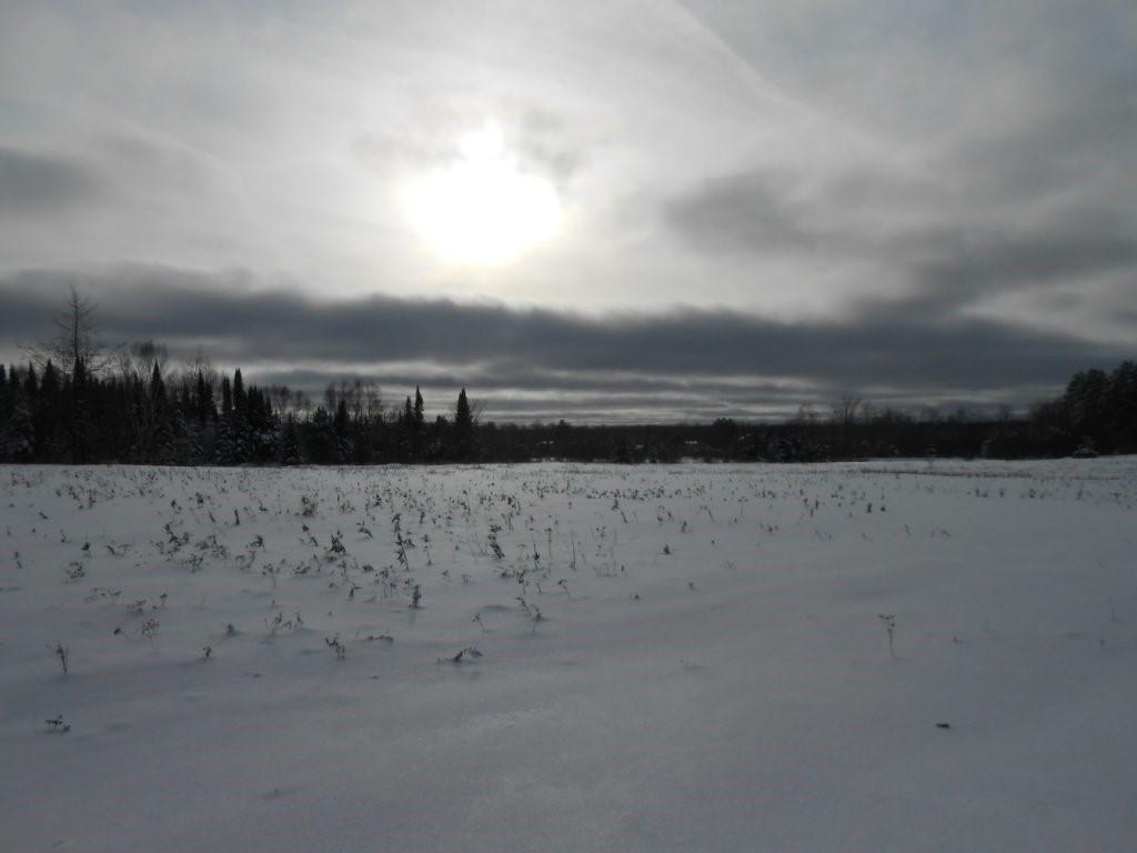 On CTH D Road Phillips WI 54555 1570811 image1