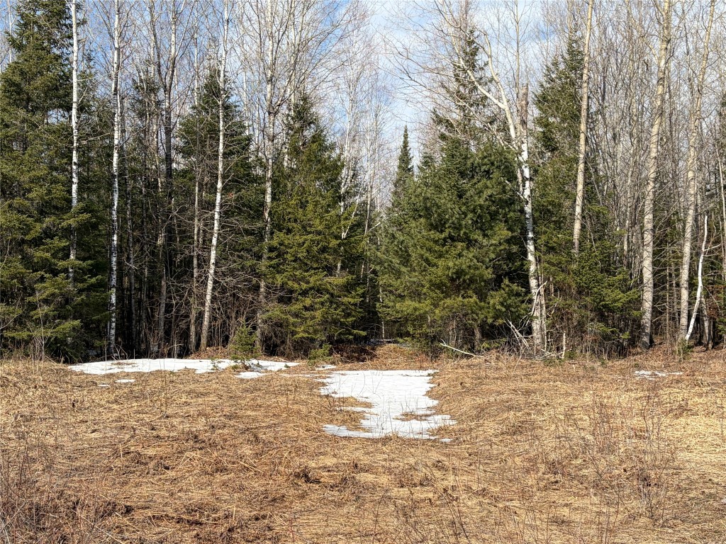 On Cth F Park Falls WI 54552 1599308 image3