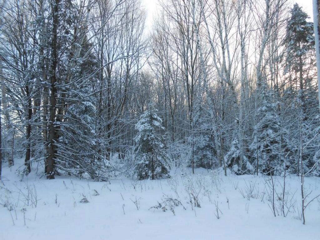 On CTH O Highway, Catawba, WI, 54515 MLS 1572006 Edina Realty