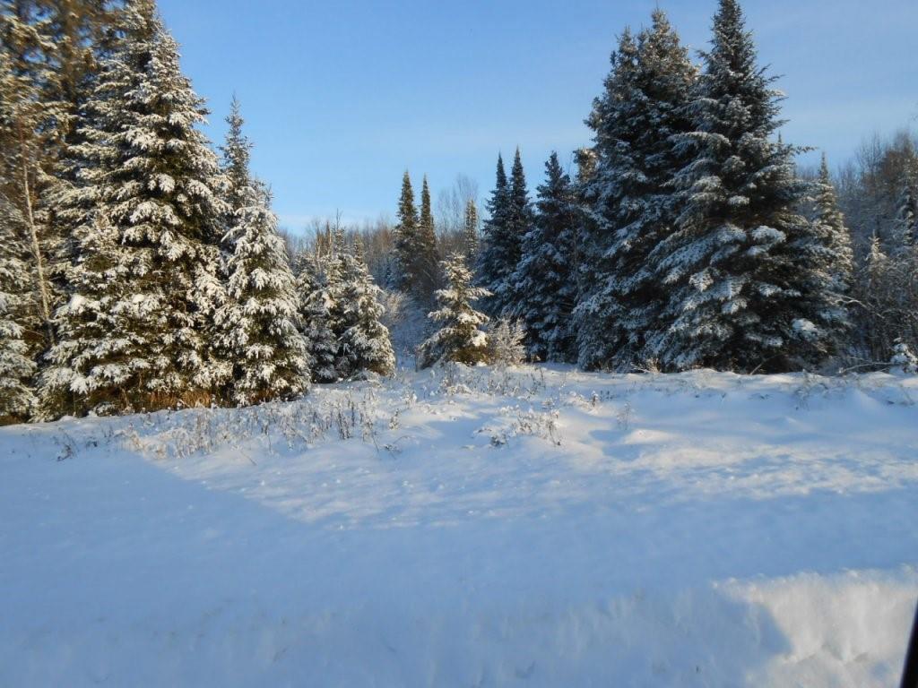 On Chequamegon Drive, Phillips, WI 54555 MLS 1571151 Edina Realty