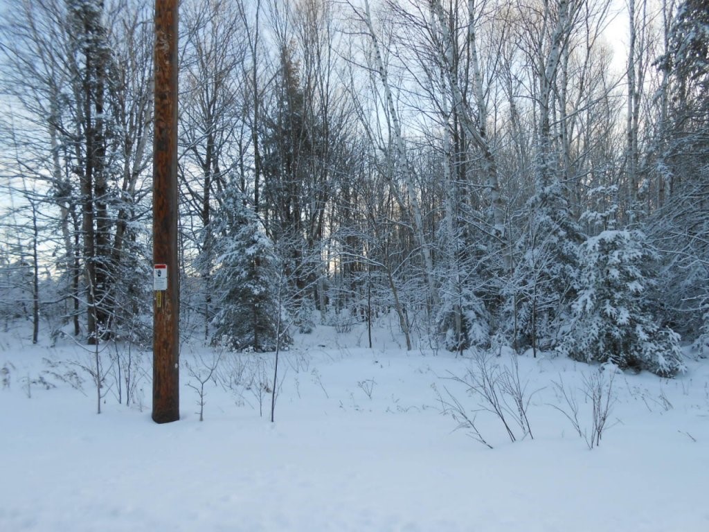 On Chequamegon Drive Phillips WI 54555 1571266 image1