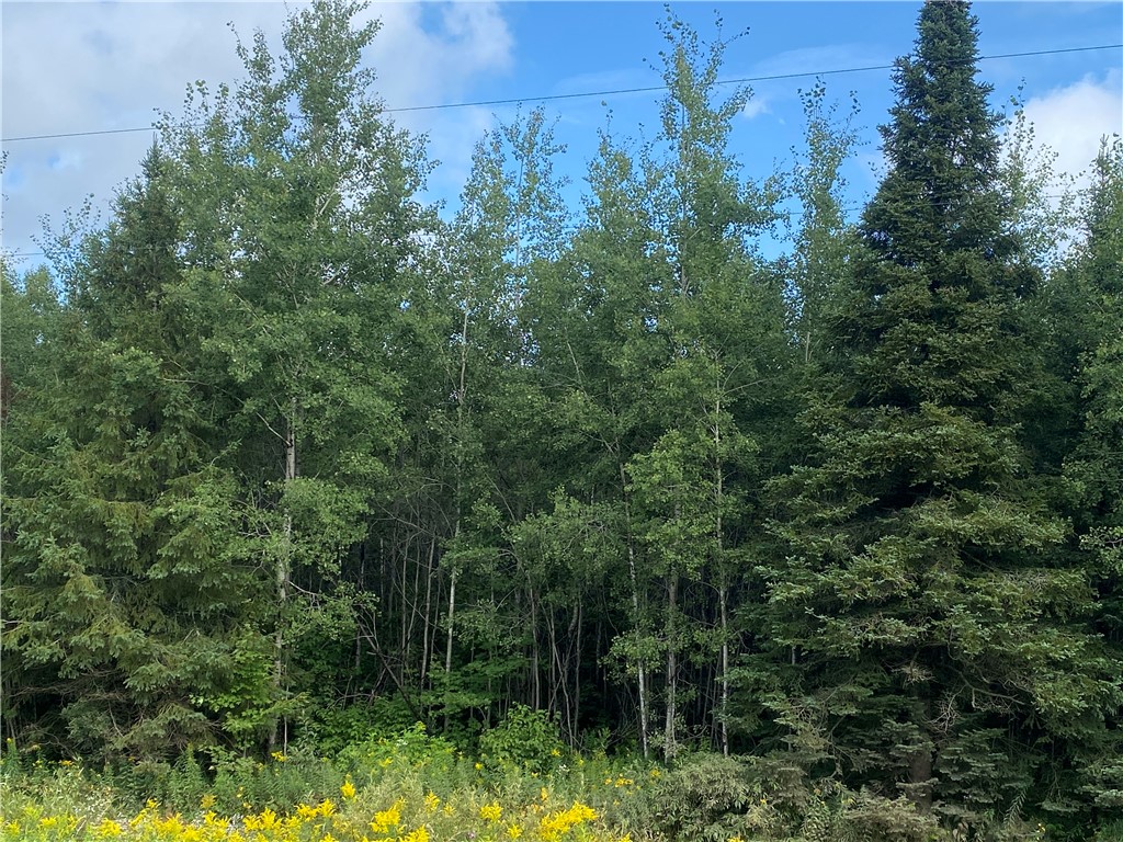 On County Highway E Park Falls WI 54552 1584865 image3