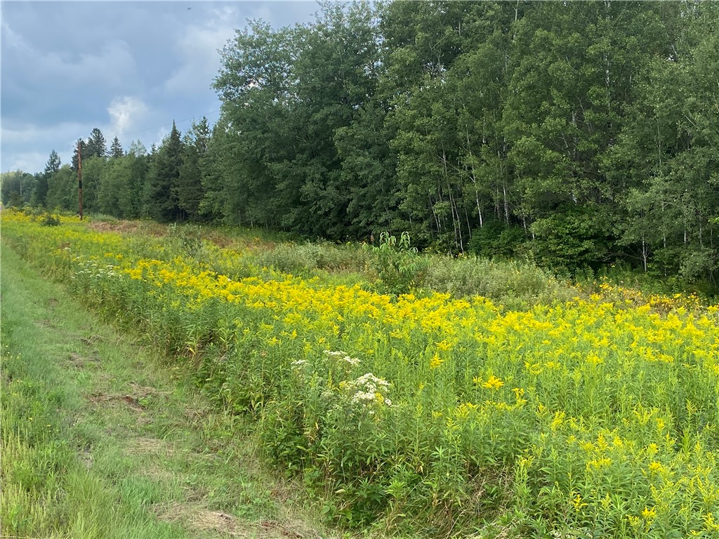 On County Highway E Park Falls WI 54552 1584865 image4