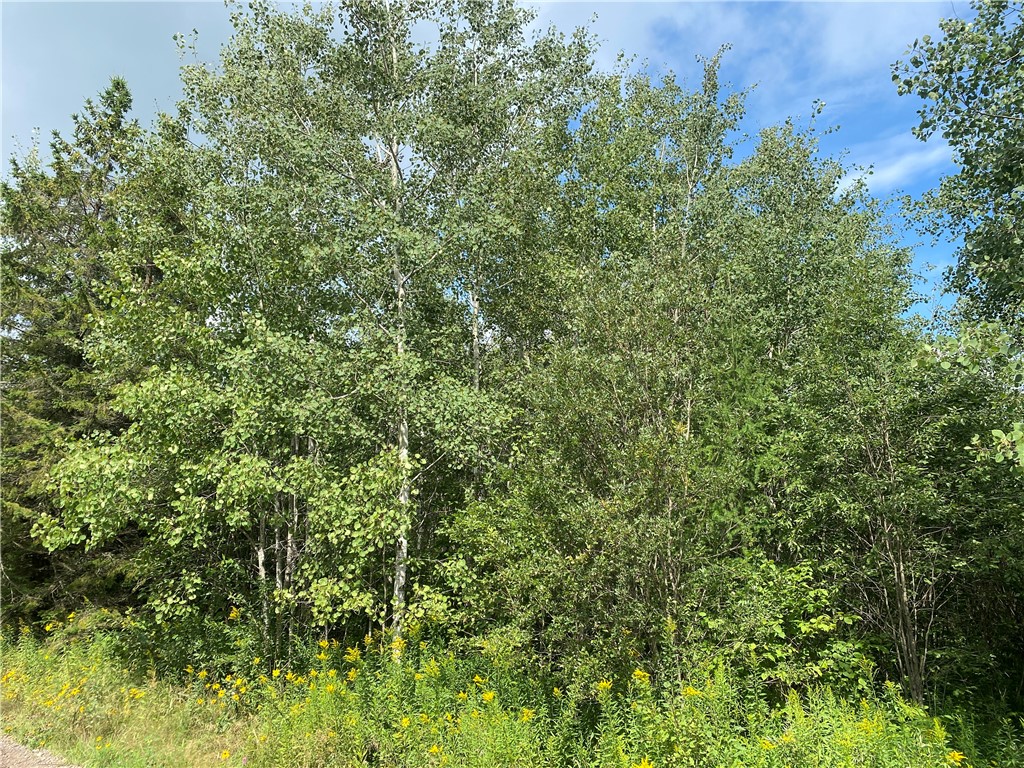 On County Highway E Park Falls WI 54552 1584865 image6