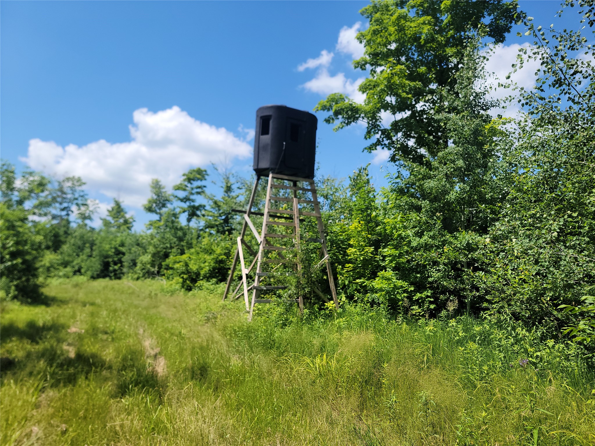 On County Road H Radisson WI 54867 1603350 image1