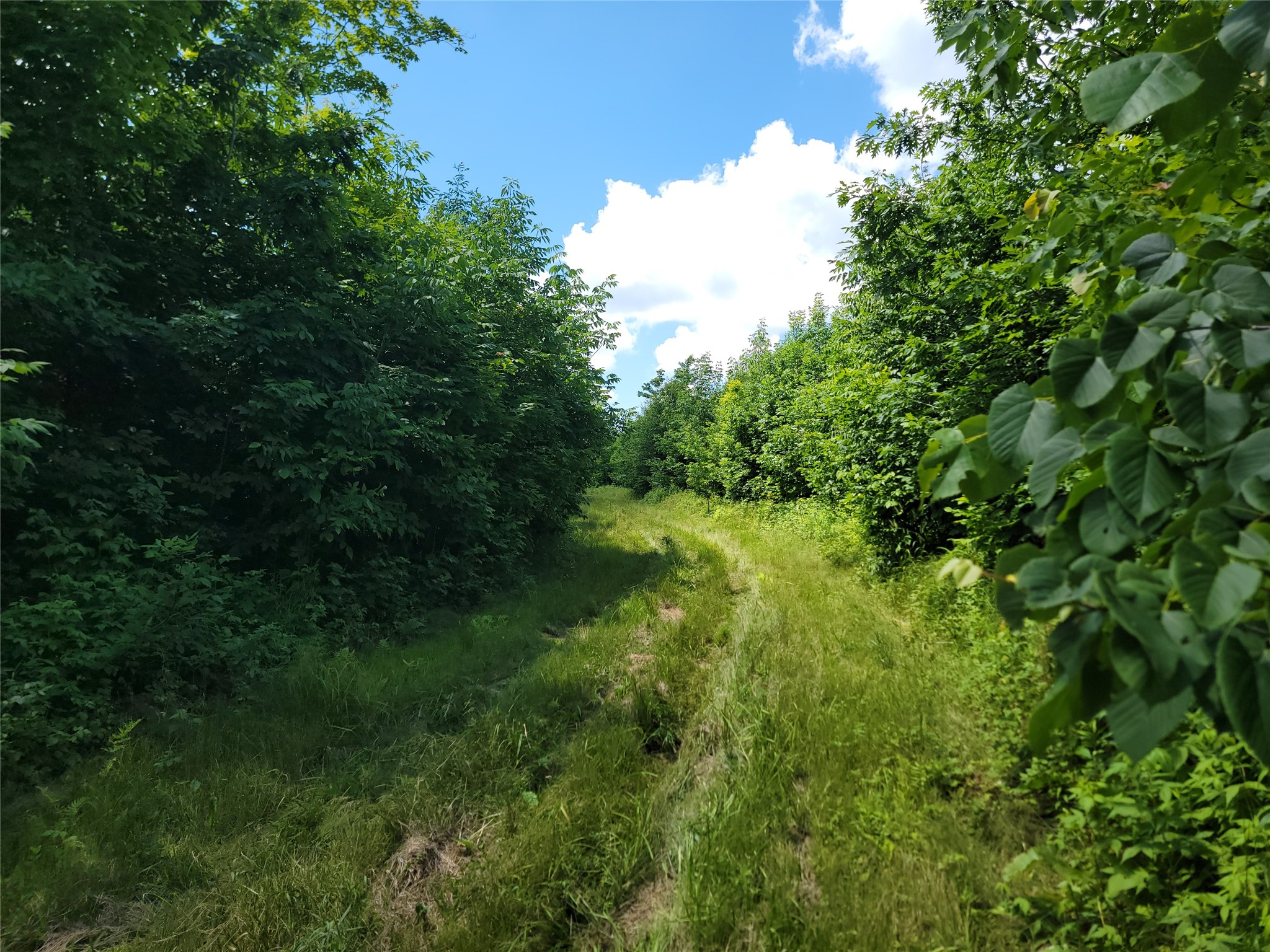 On County Road H Radisson WI 54867 1603350 image11