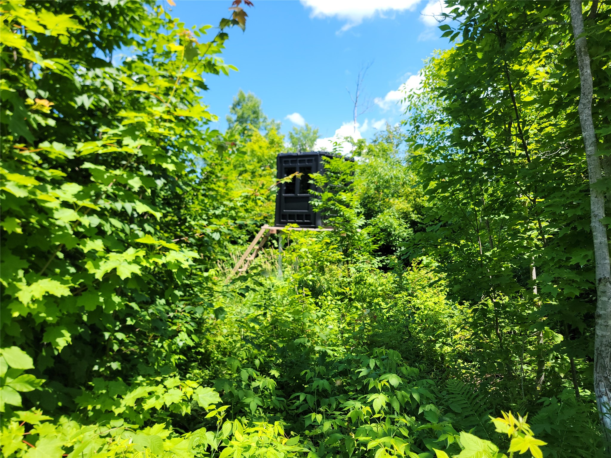 On County Road H Radisson WI 54867 1603350 image13