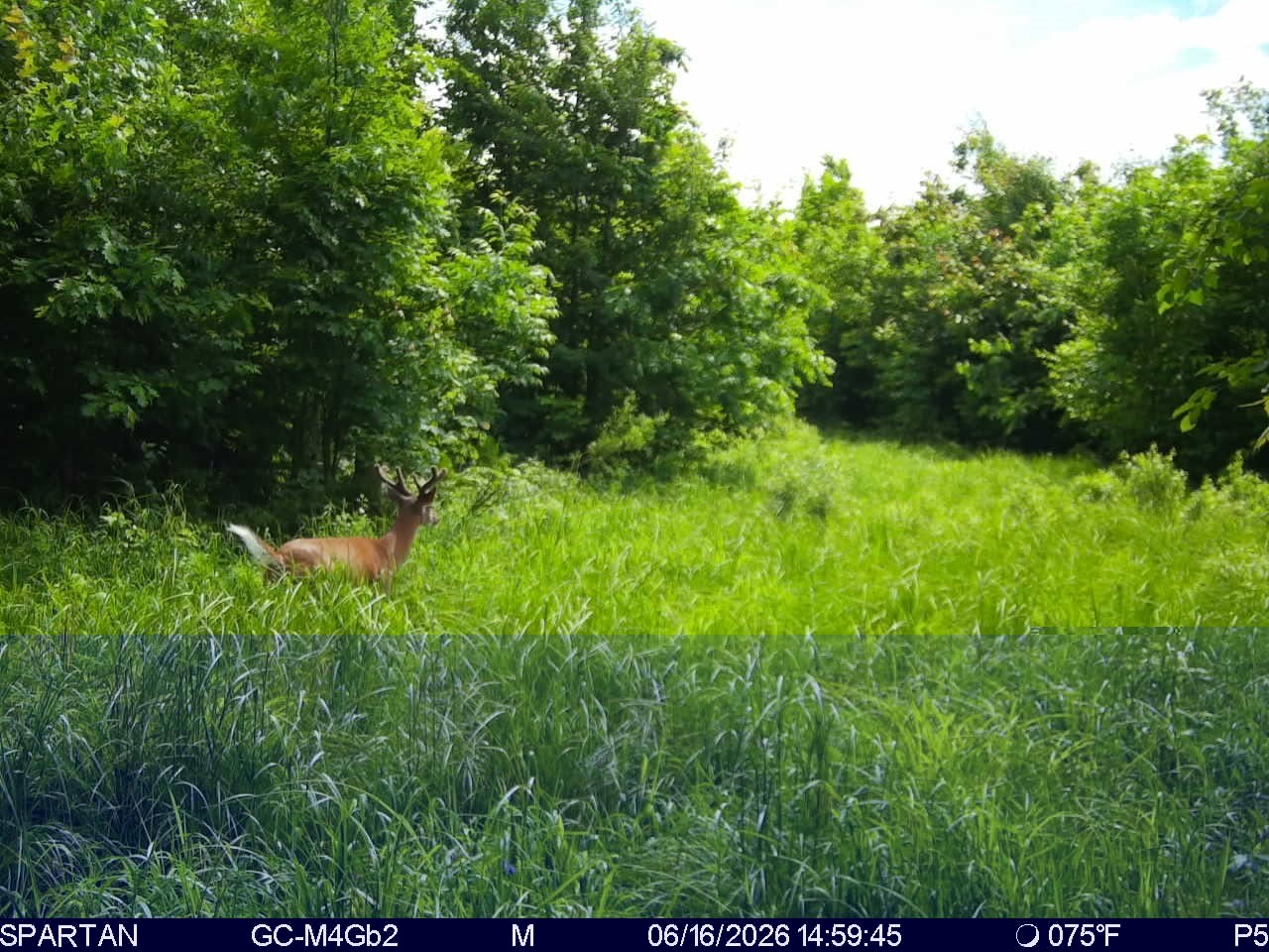 On County Road H Radisson WI 54867 1603350 image17