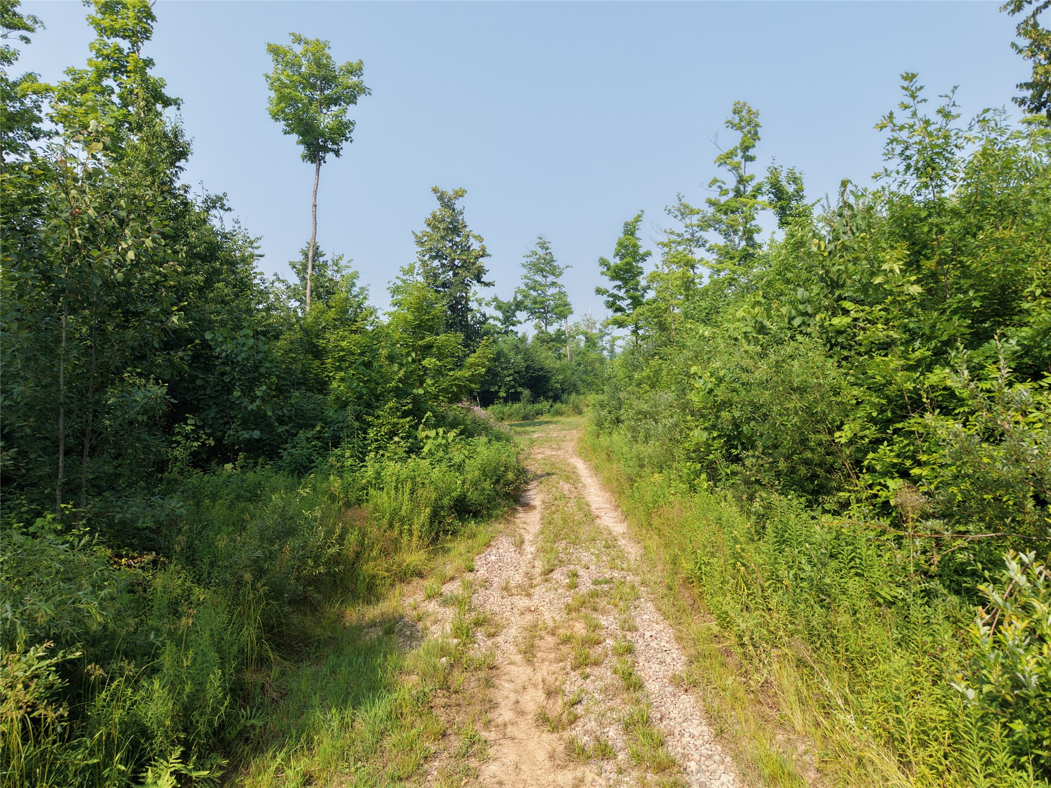 On County Road H Radisson WI 54867 1603350 image18